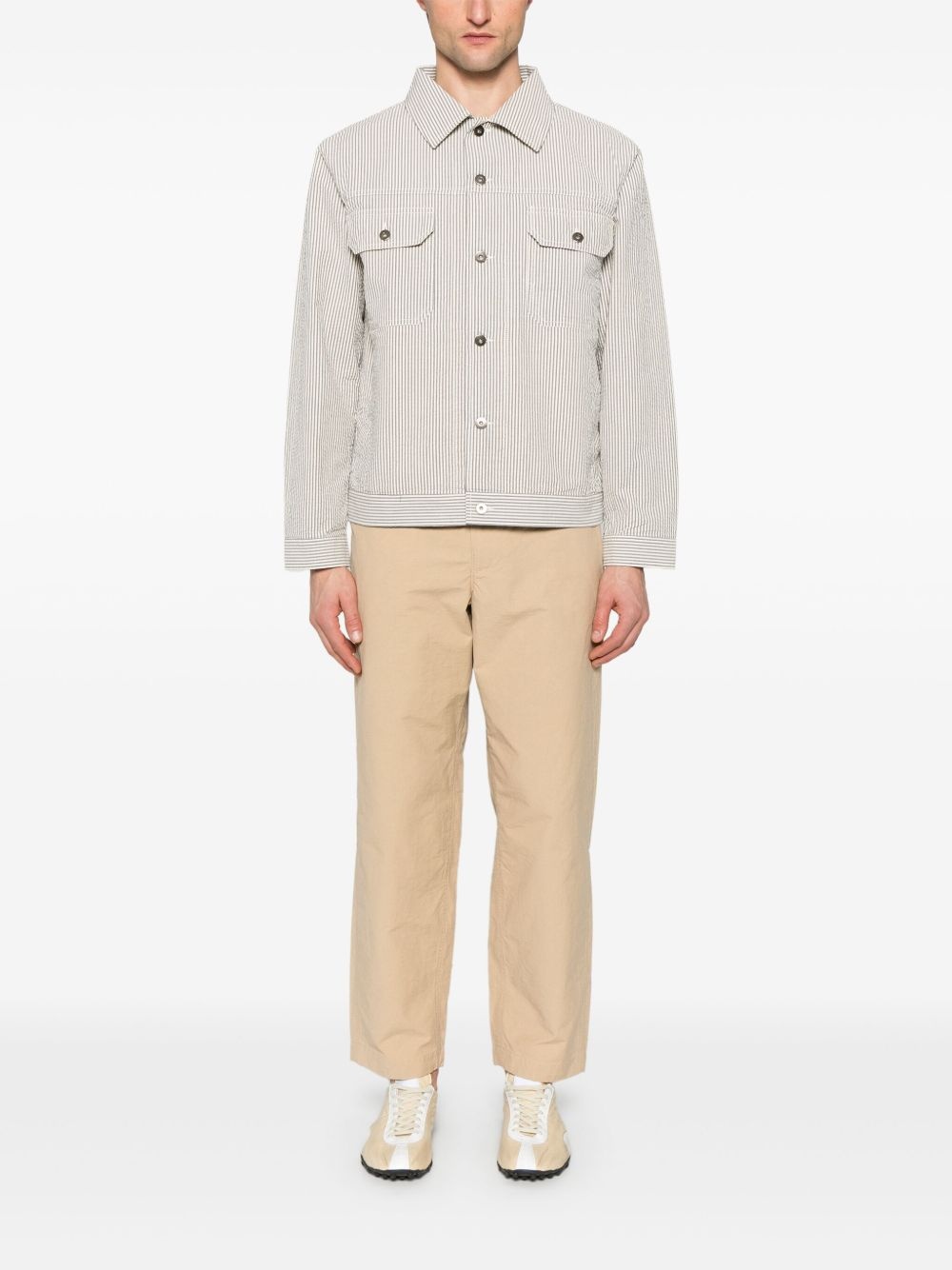 Papx H5It chinos - 3