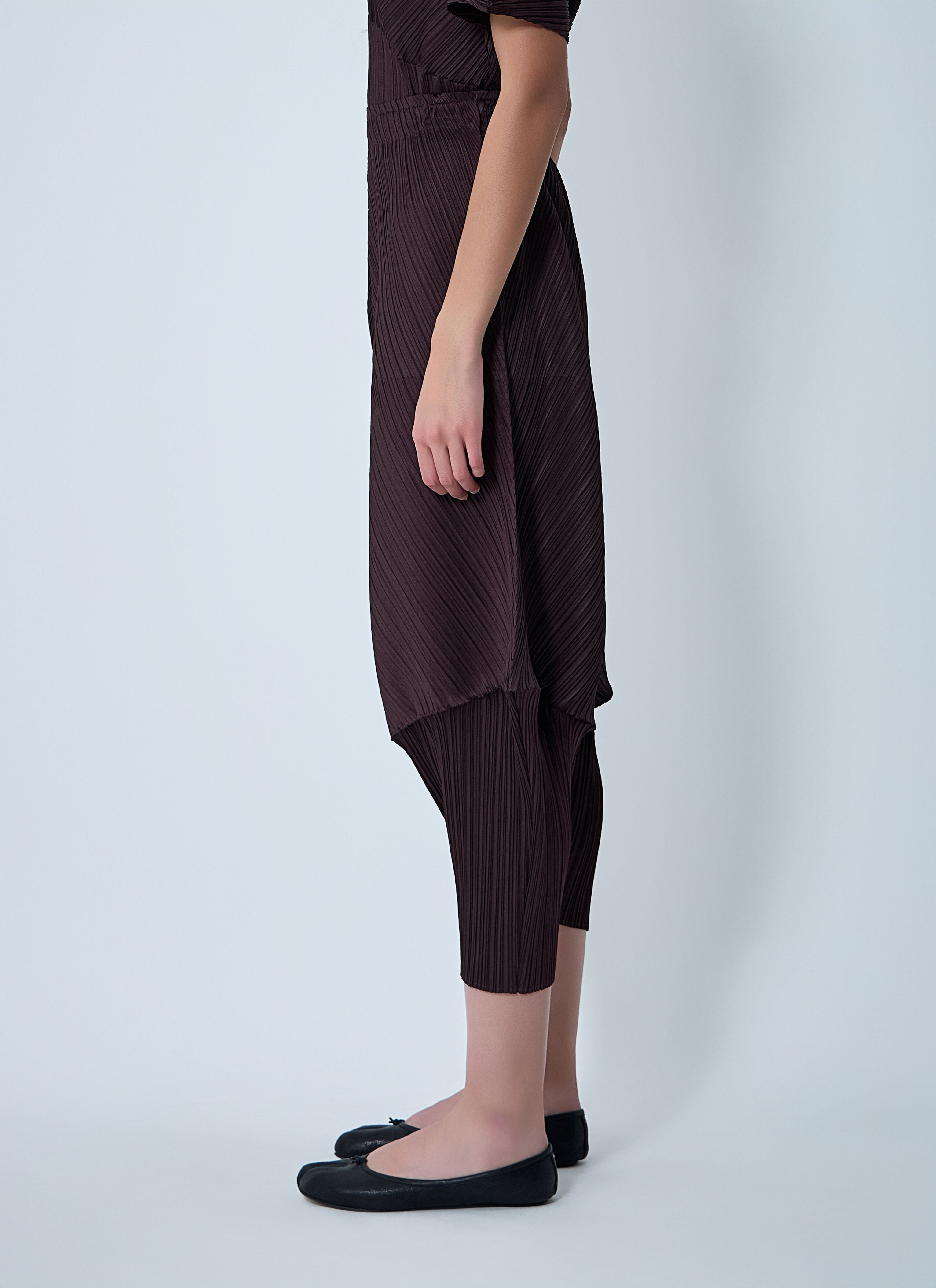 Pleated Pants - 3