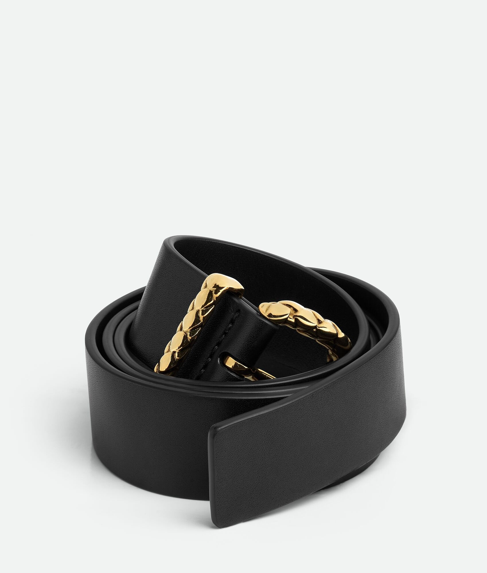 Coaxial Loop Belt - 3