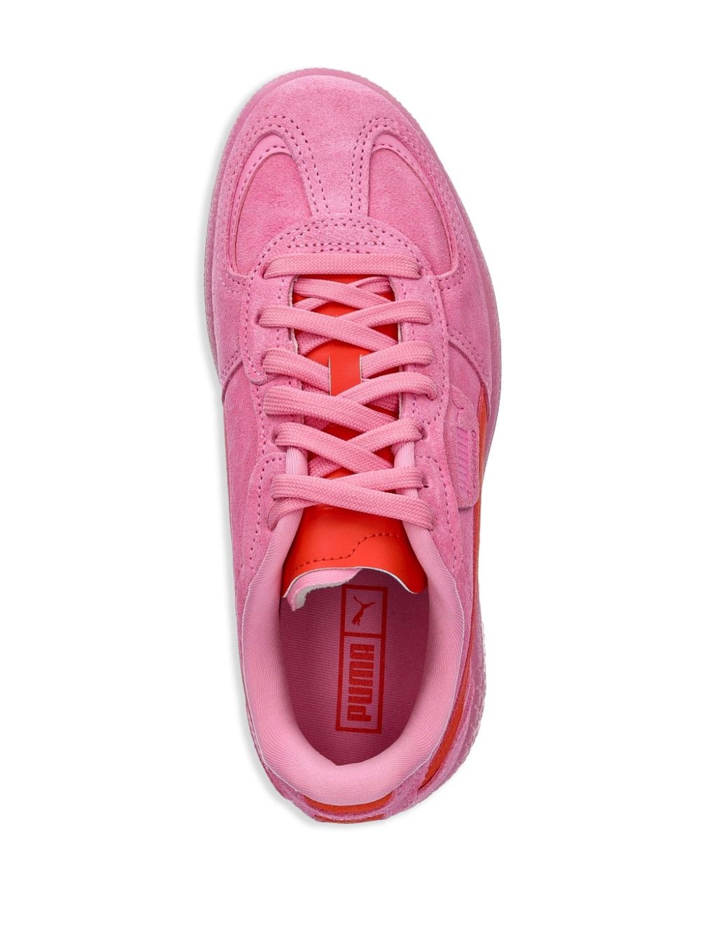 Palermo Moda Xtra trainers - 4