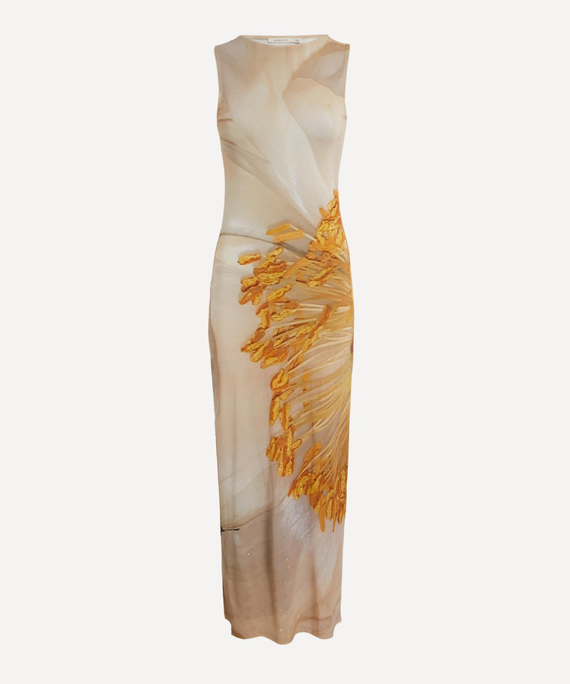 Fortunata Floral Mesh Maxi Dress 1
