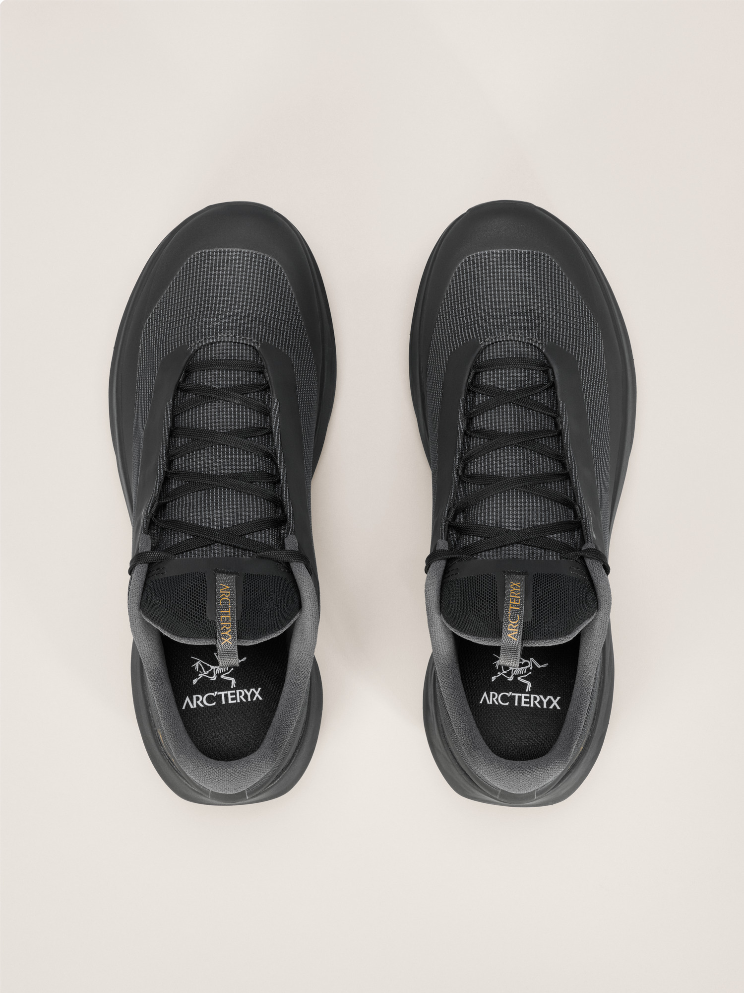 Norvan LD 4 GTX Shoe - 3