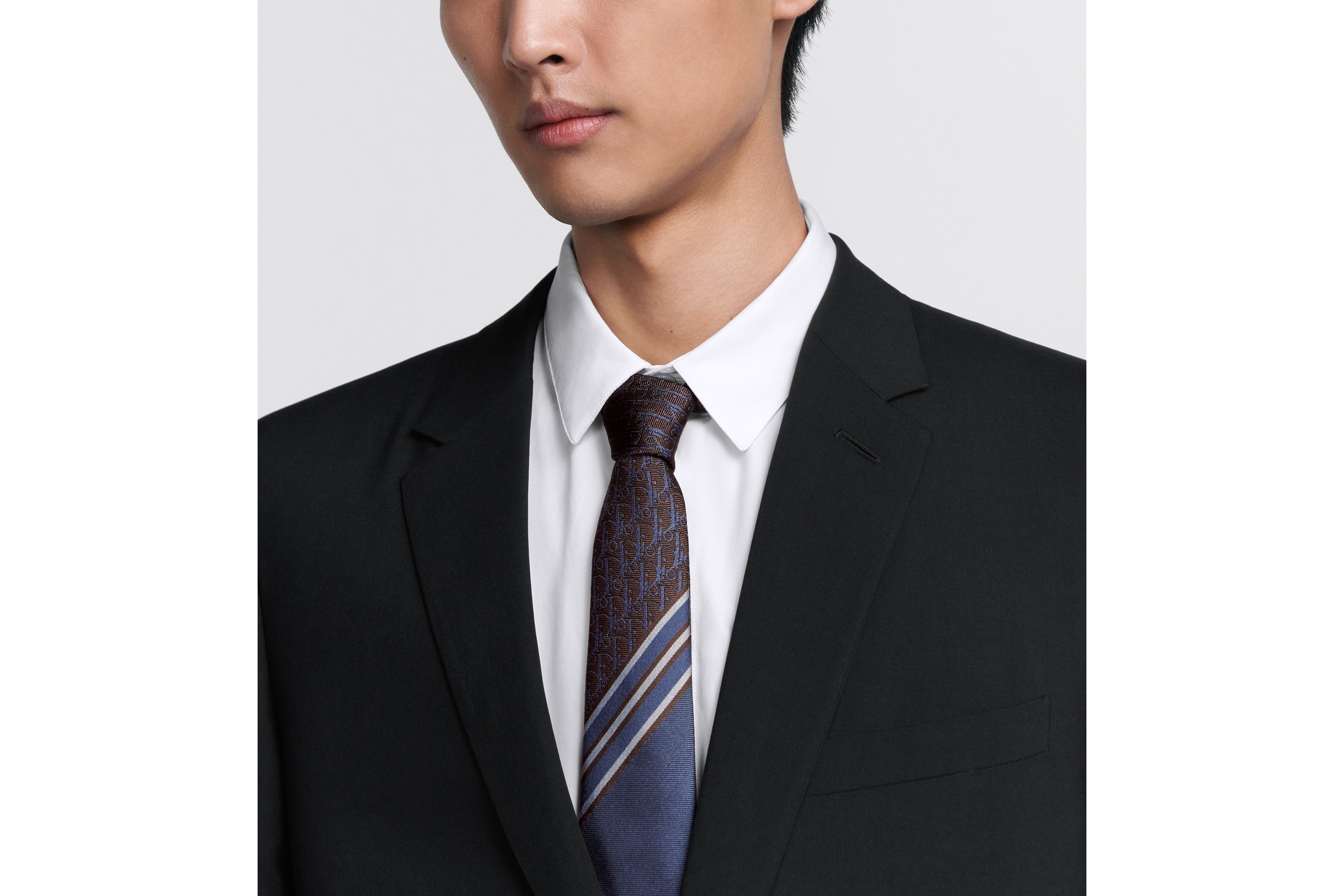 Striped Dior Oblique Tie - 4