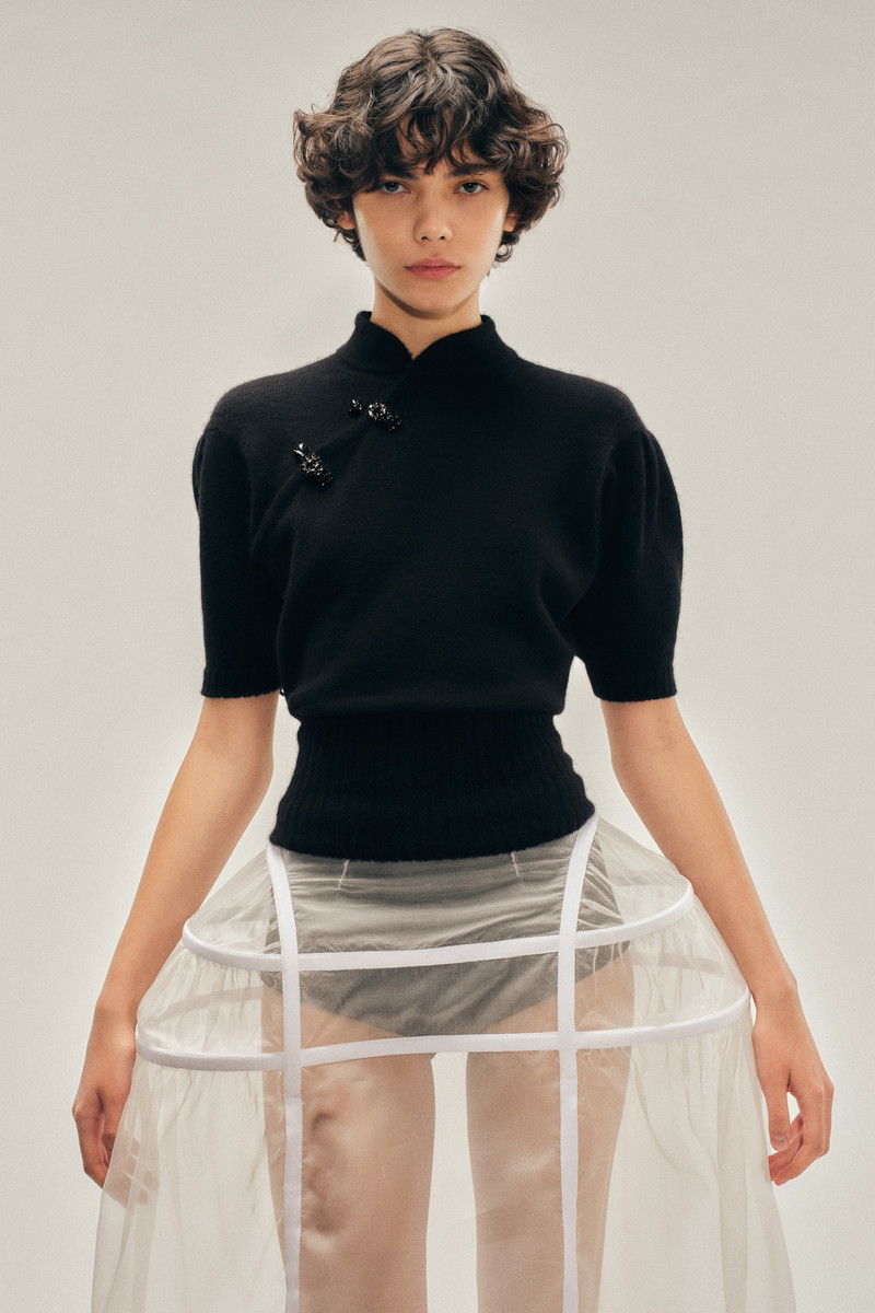 Sheer Hip Bustle Hoop Skirt 3
