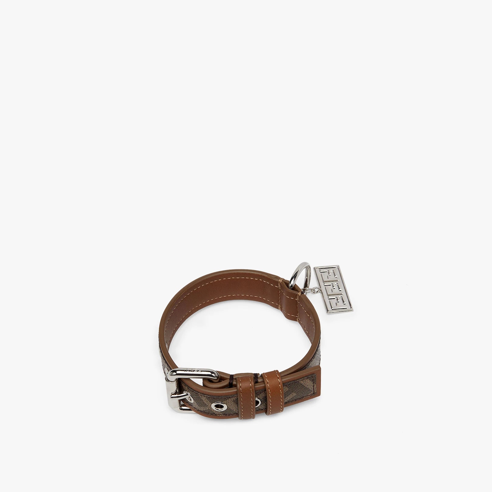 Dog Collar - 1