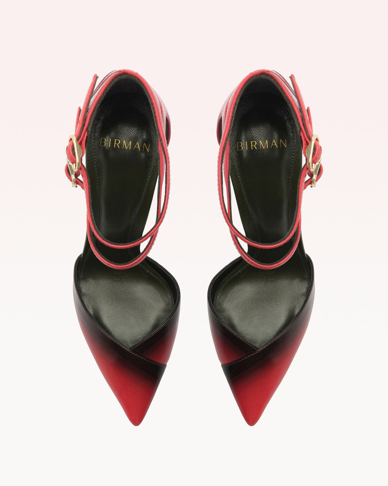 HELICONIA 100 PUMP 3