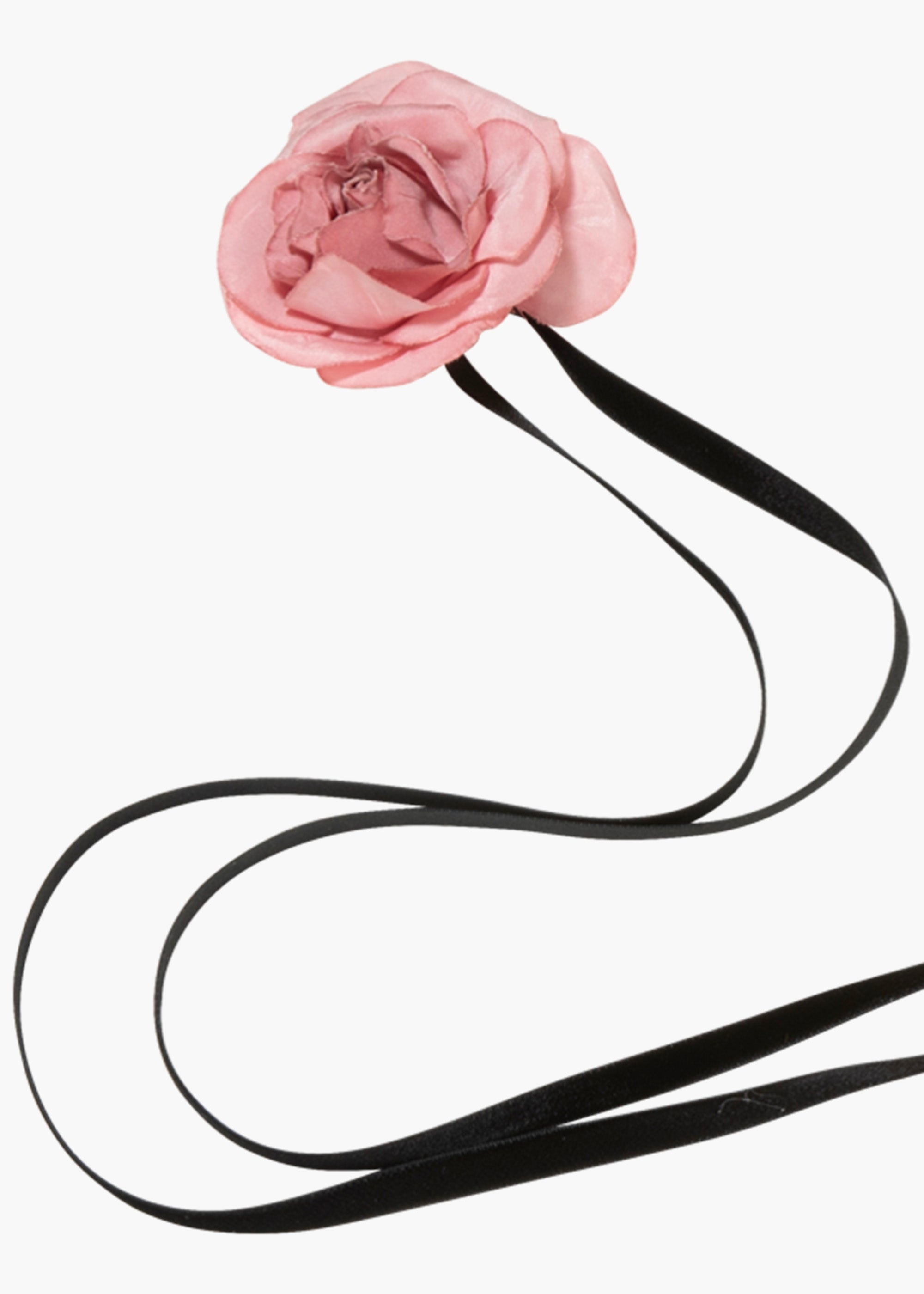 Rosalinda Ribbon Tie - 4