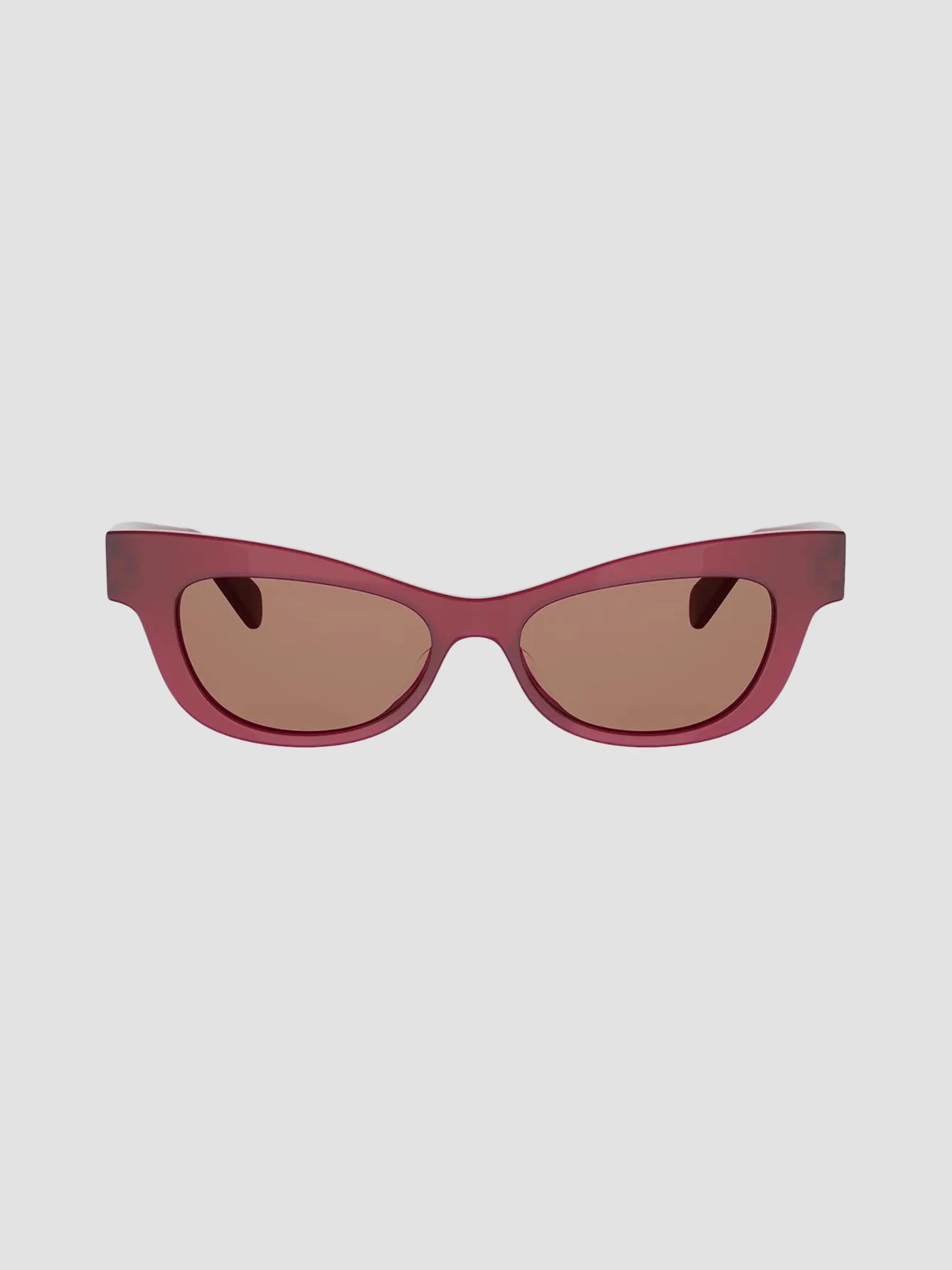 Women's Triomphe 19 53MM Cat-Eye Sunglasses - Brown - 1