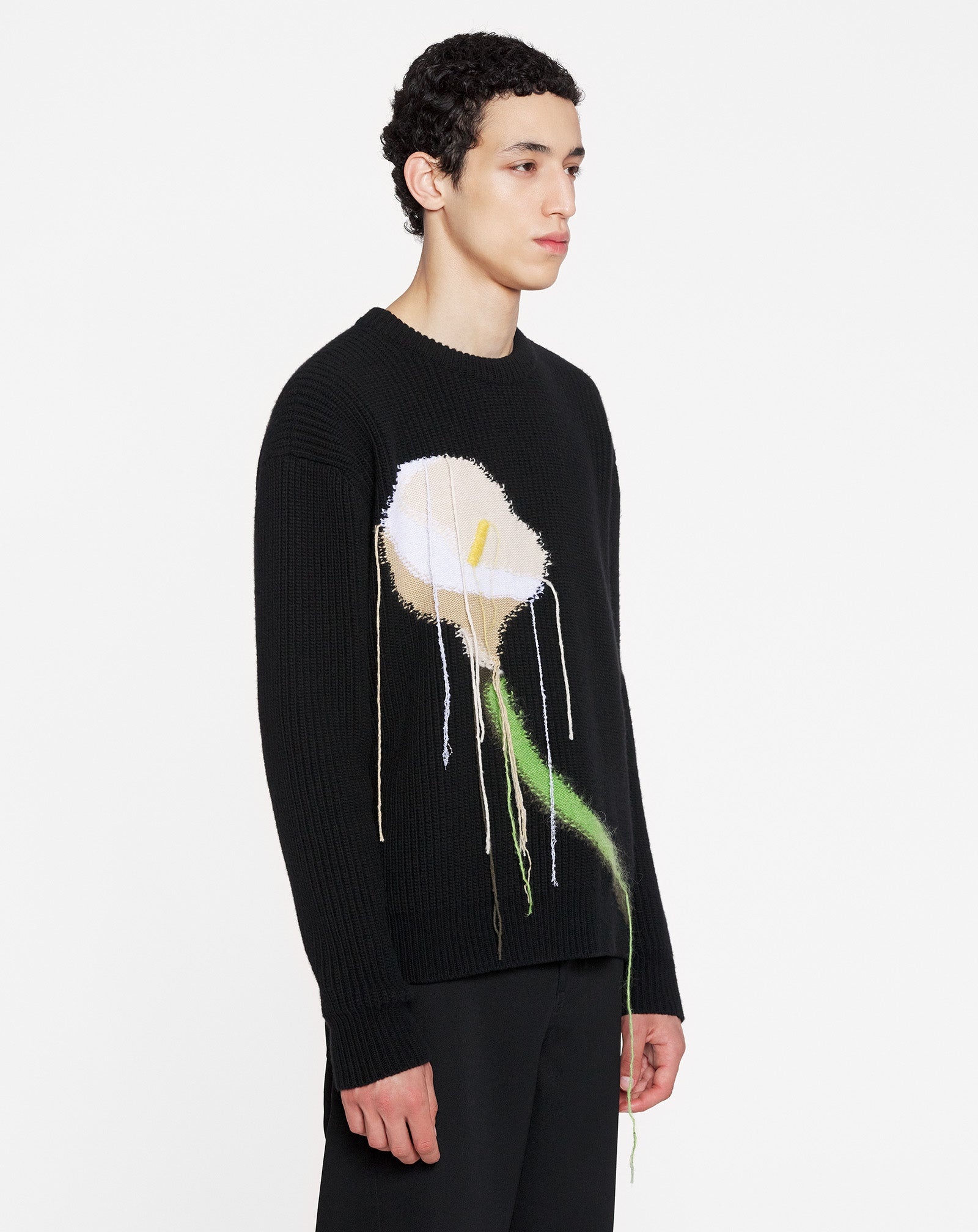 INTARSIA WOOL AND CASHMERE CREW-NECK SWEATER - 3