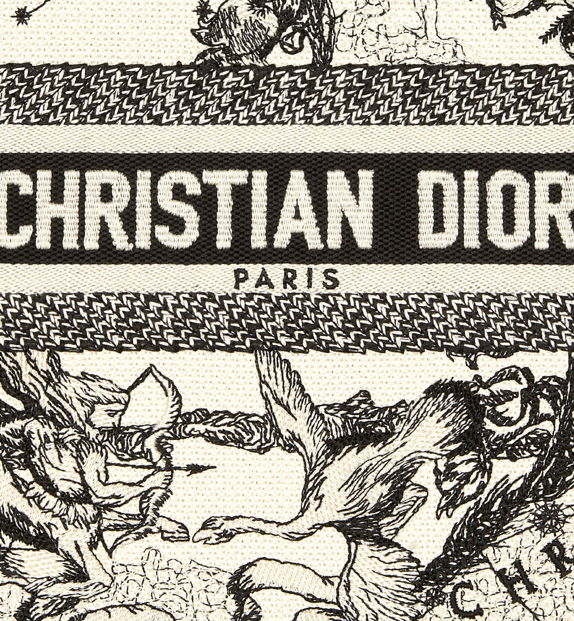 Small Dior Book Tote - 6
