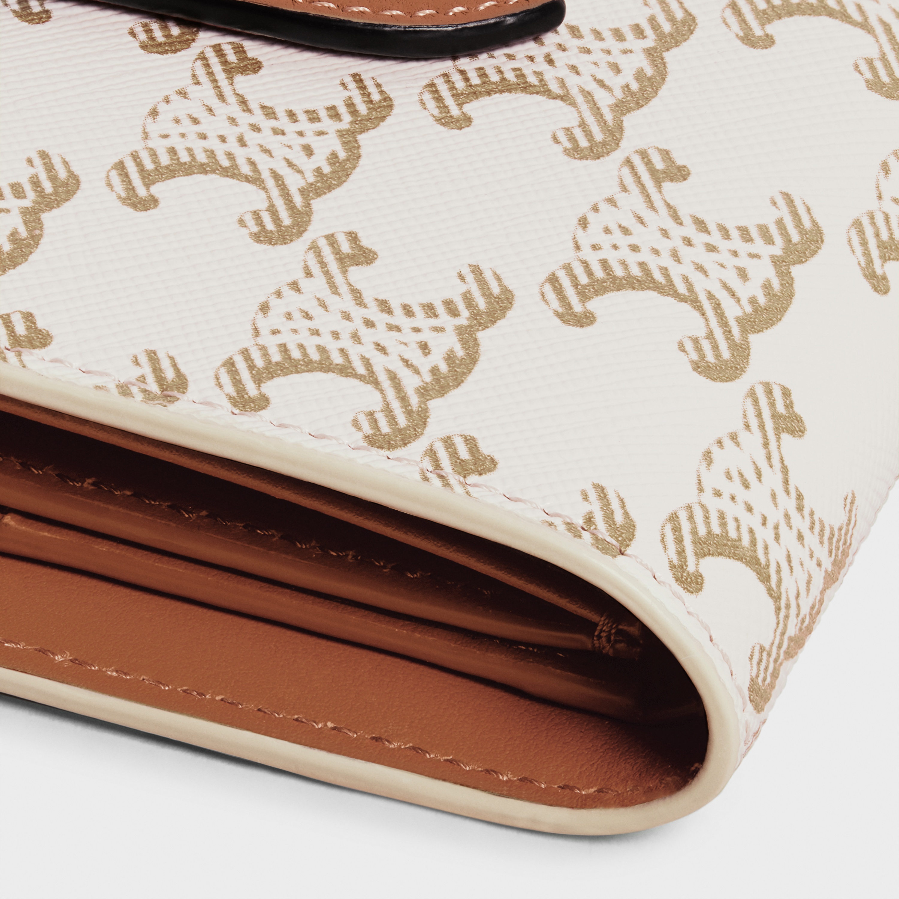 Small Strap Wallet Essentials in Triomphe Canvas and Lambskin - 5