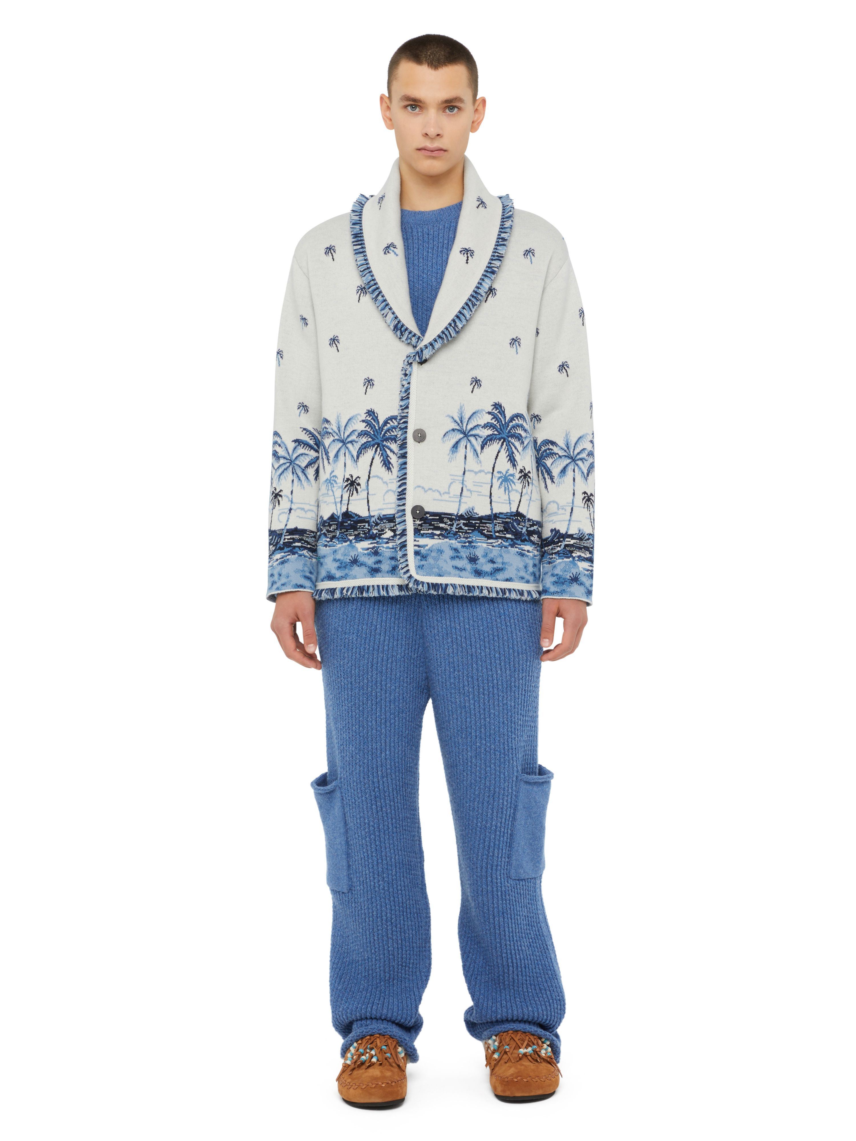 The Tale Of A Hawaiian Cardigan - 4
