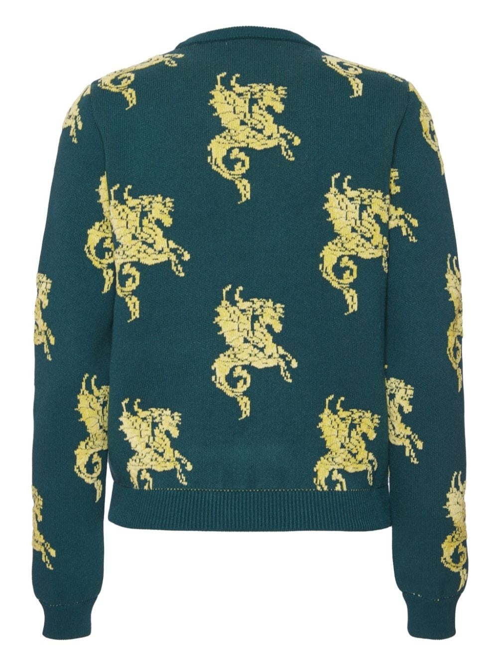 Gryphos sweater - 5