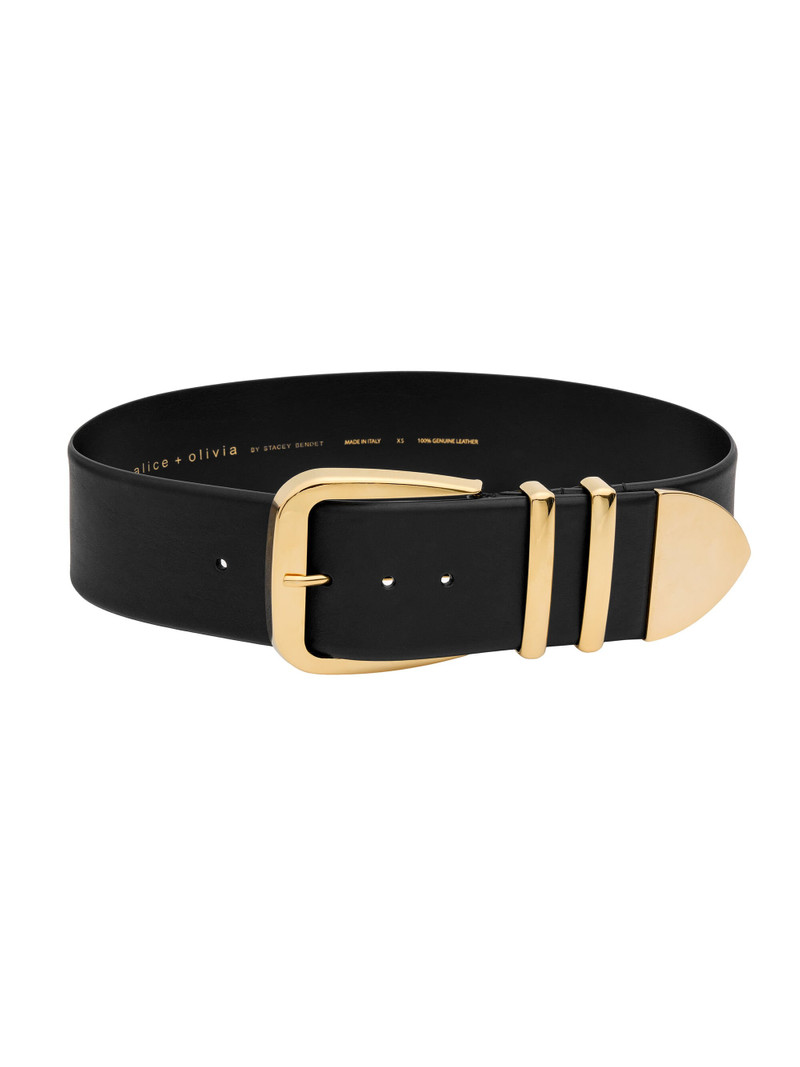 HARLEY WIDE BELT 5