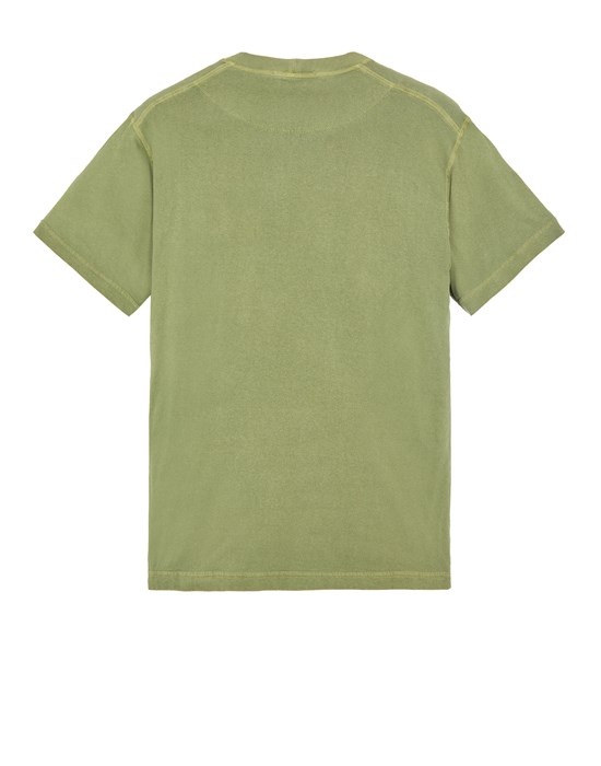 21957 'FISSATO' TREATMENT OLIVE GREEN - 2