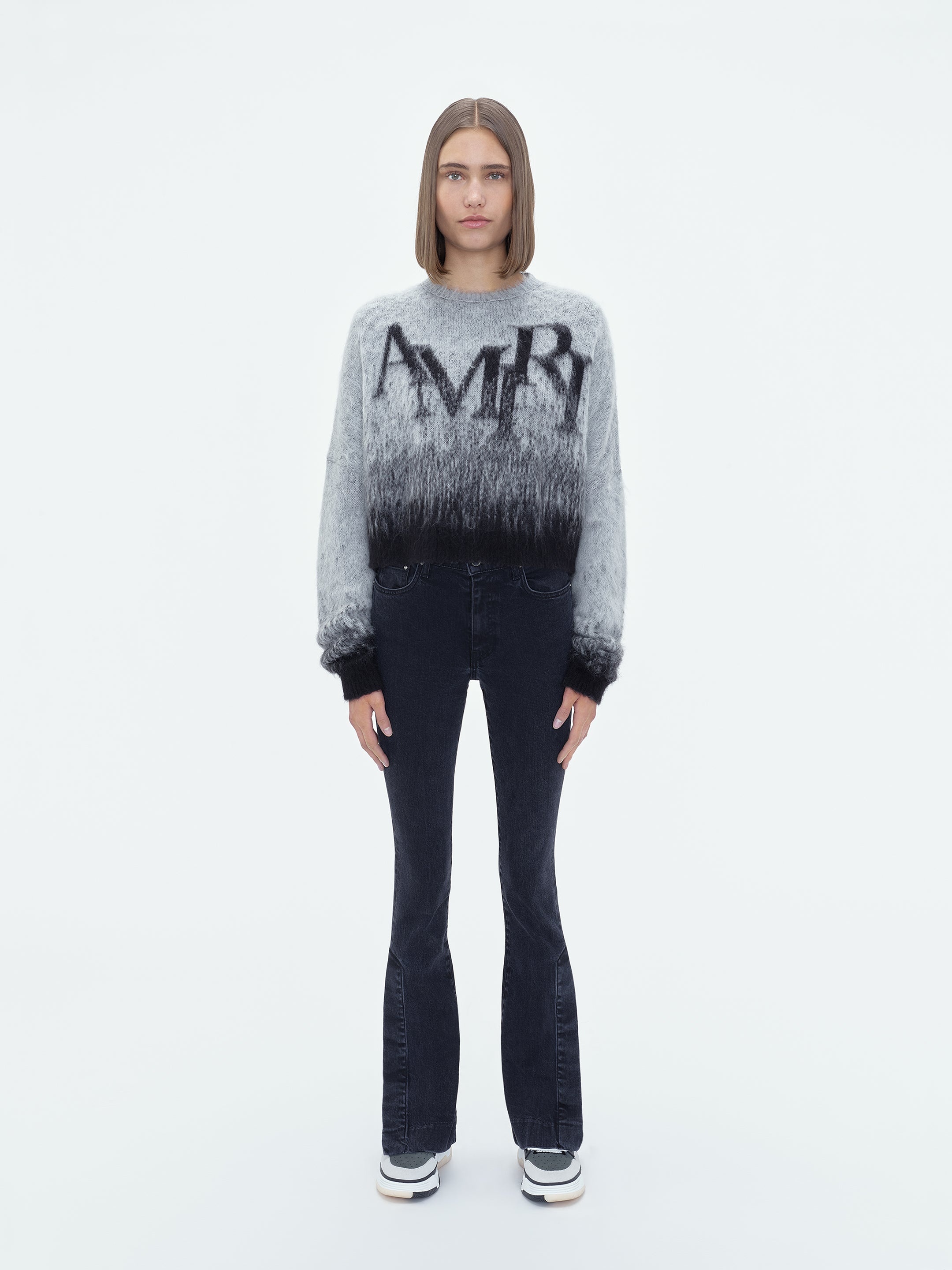 AMIRI STAGGERED OMBRE CREW - 2