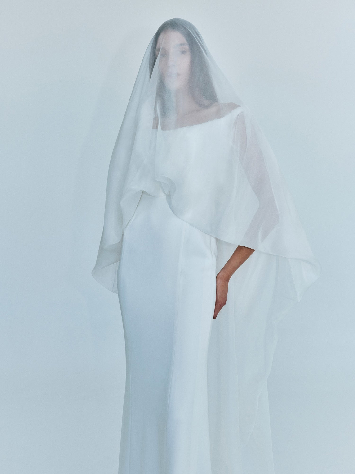 Vapour Overlay Silk Gown - 11