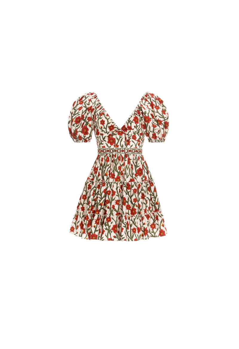 Manzanilla Mandevilla Mini Dress 1