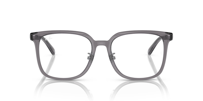 RB5419 OPTICS 4