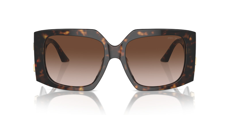 JIMMY CHOO JC5006U outlook