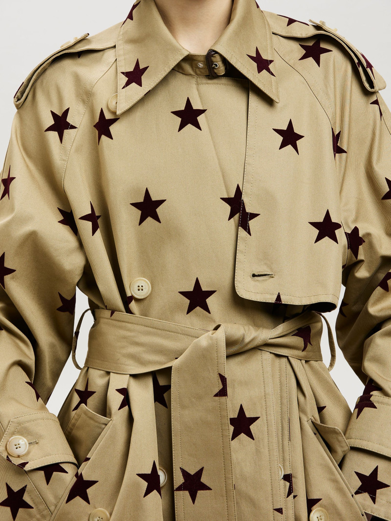 WE ARE STARS TRENCH 6