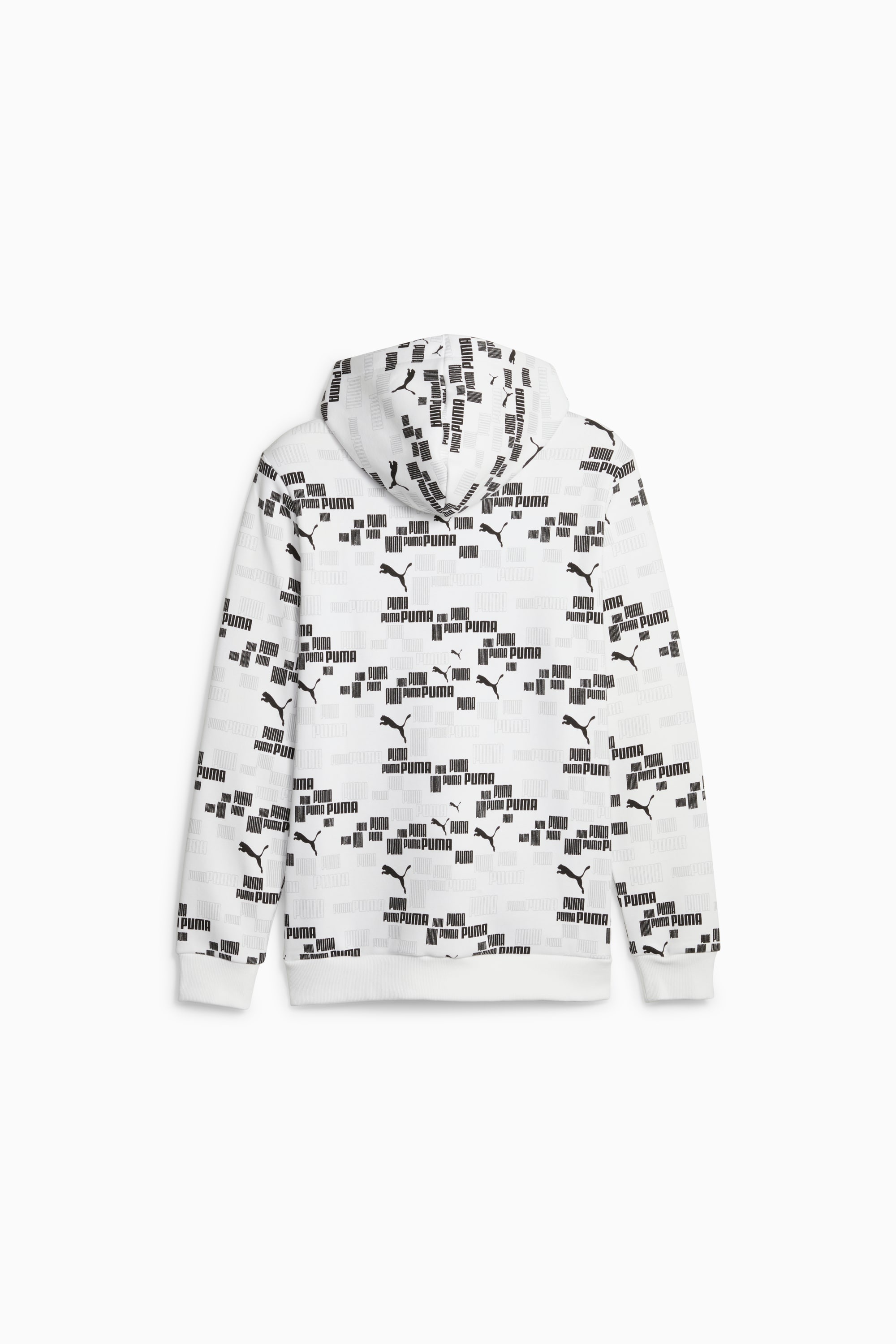 ESS+ LOGO LAB Men's Hoodie - 2