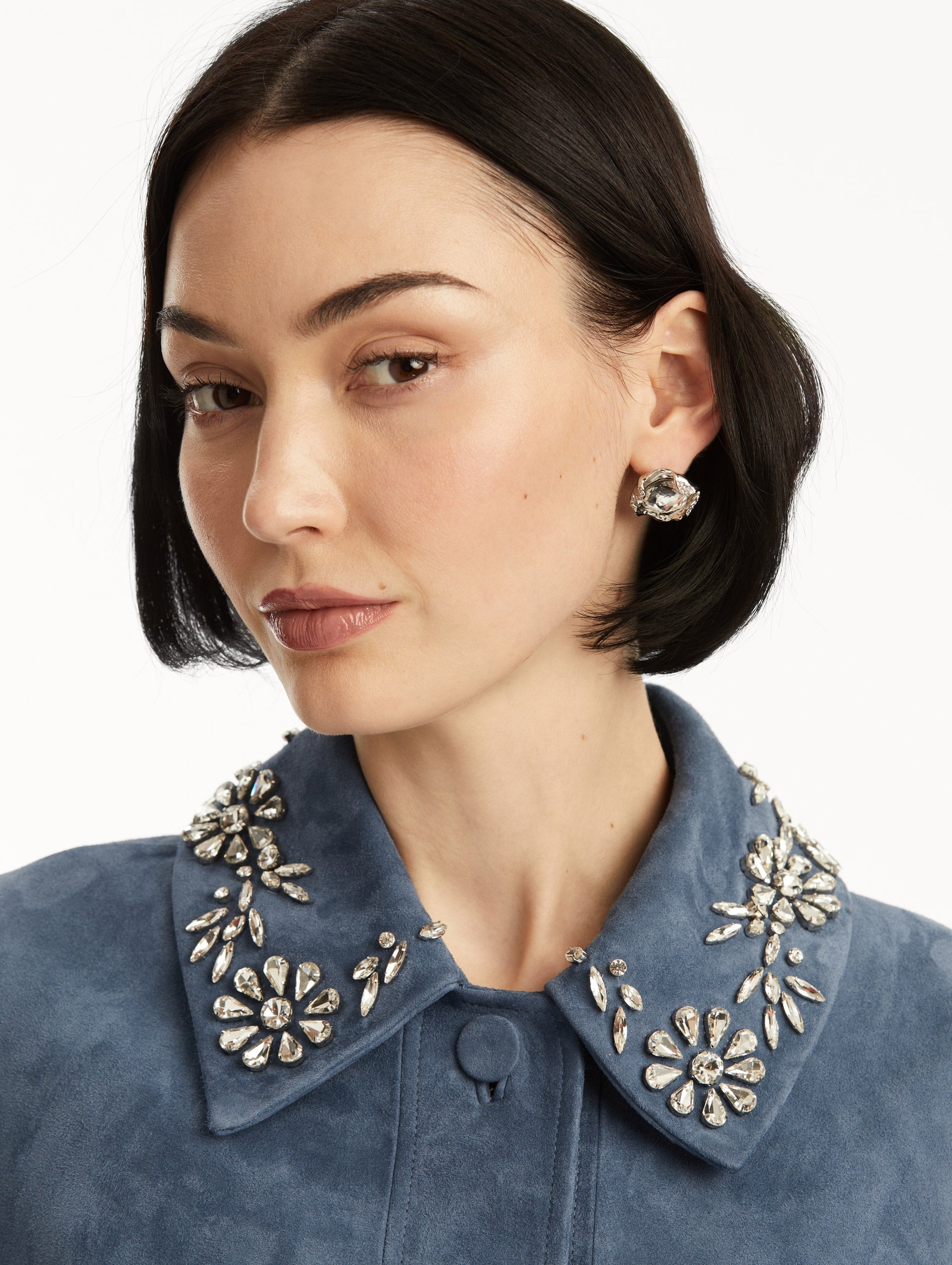 CRYSTAL NEST EARRINGS - 2