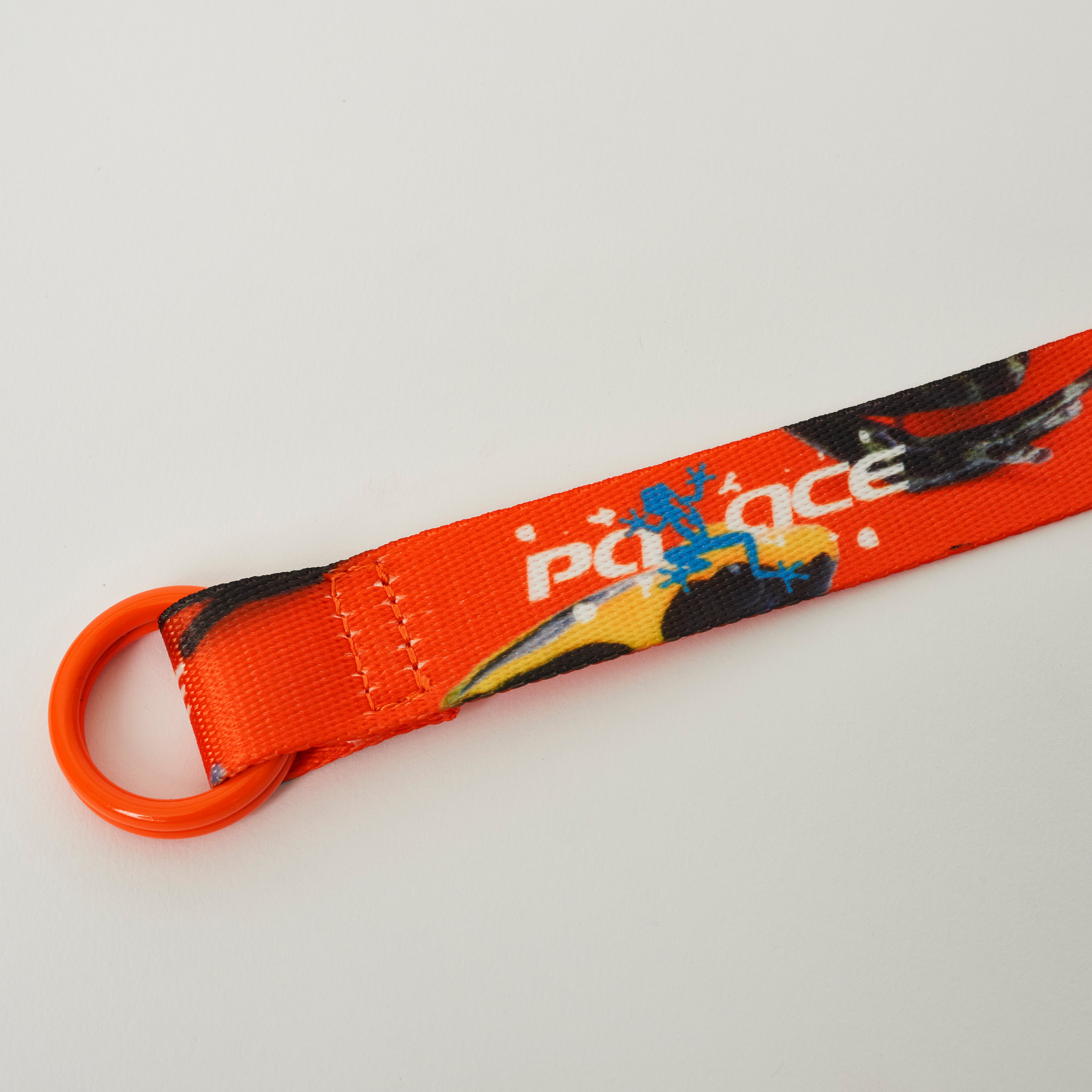 FROGGER BELT ORANGE / MULTI - 2