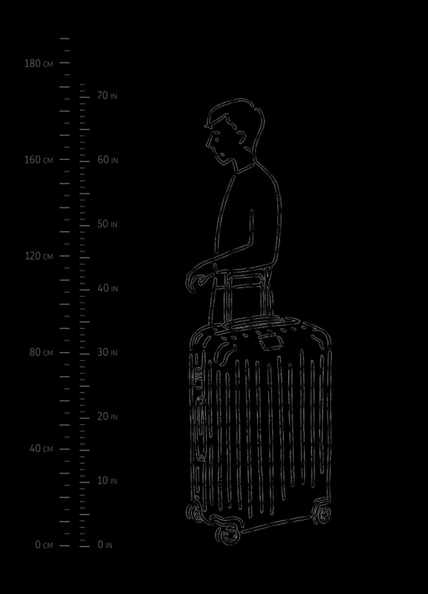 Essential Check-In L suitcase - 7