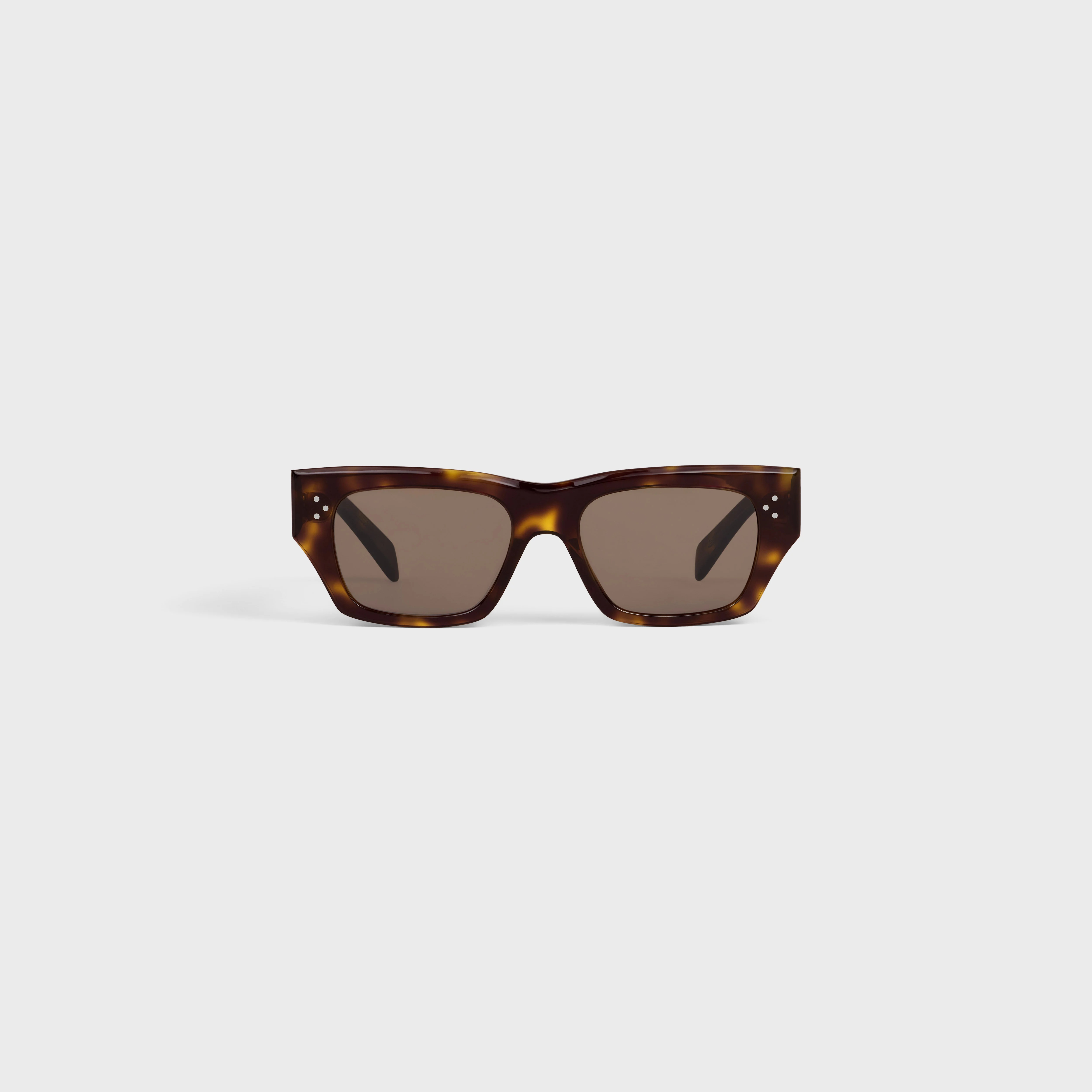 Black Frame 55 Sunglasses in Acetate - 1