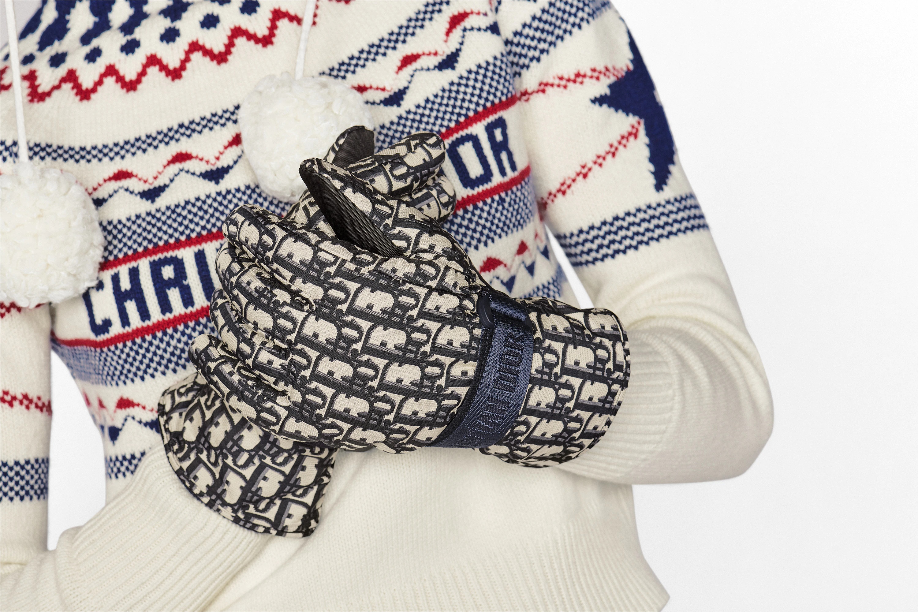 Dior Oblique Ski Gloves - 6