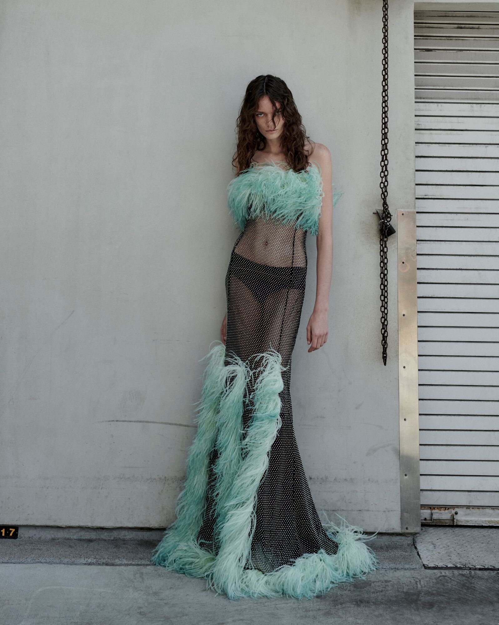 long dress in mesh and feathers - 2