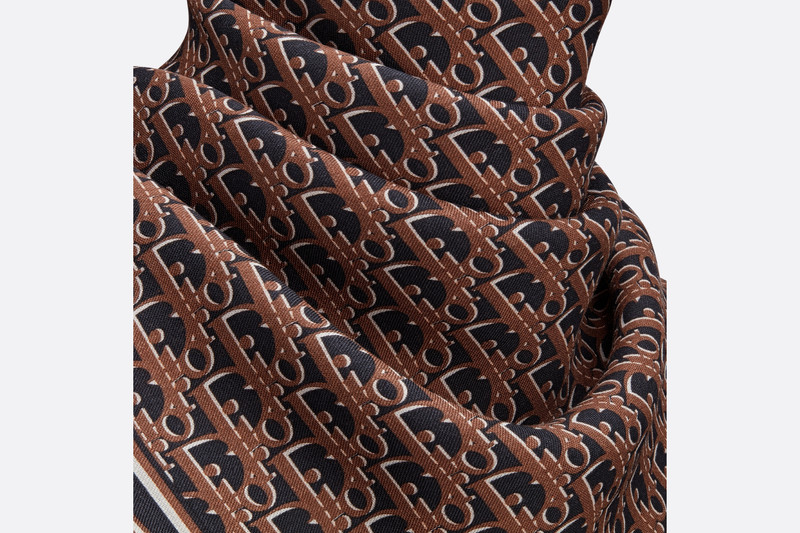 Dior Oblique Stole 4