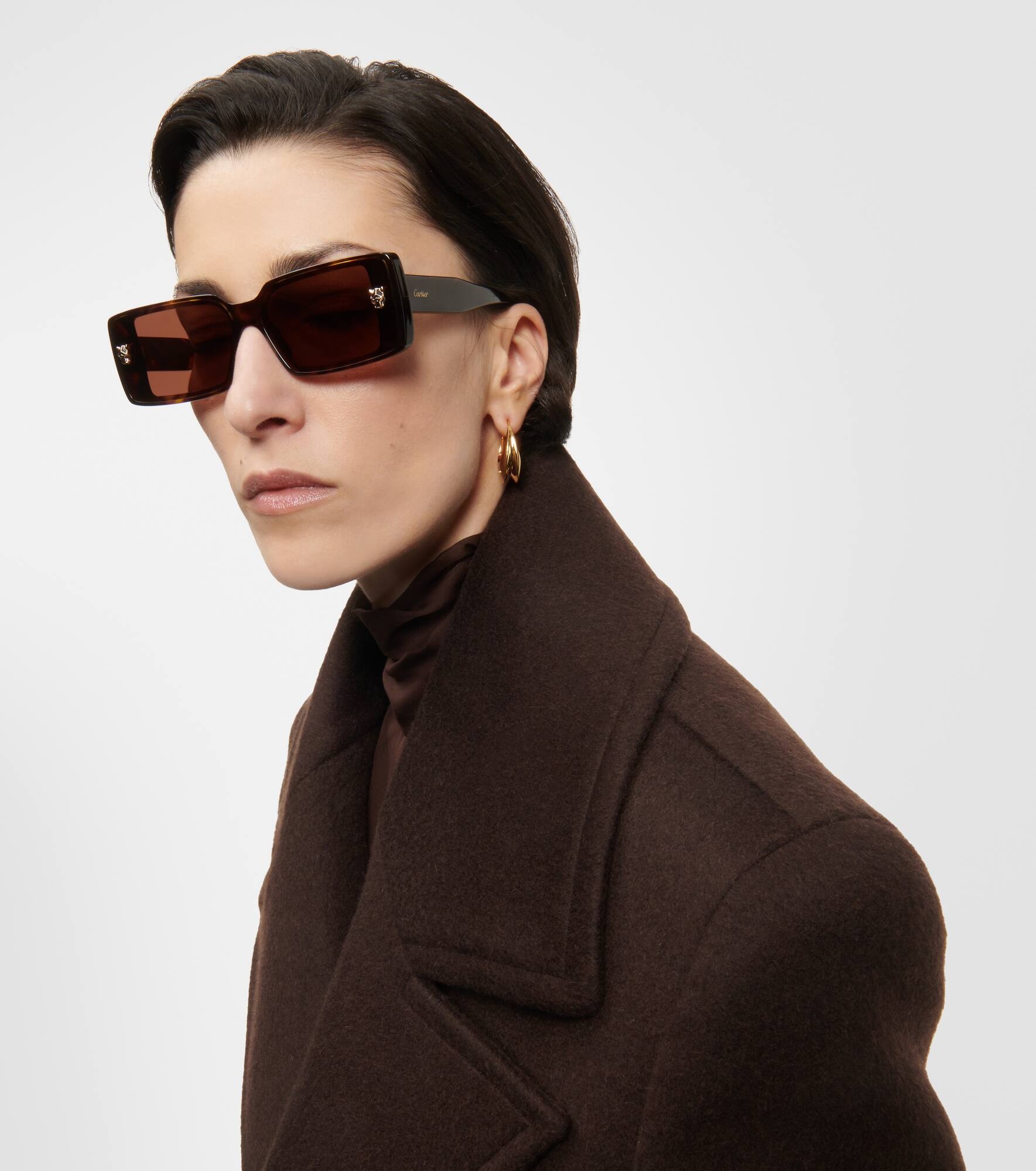 Panthère de Cartier rectangular sunglasses - 6