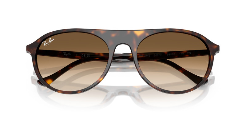 Ray-Ban RB2215 outlook