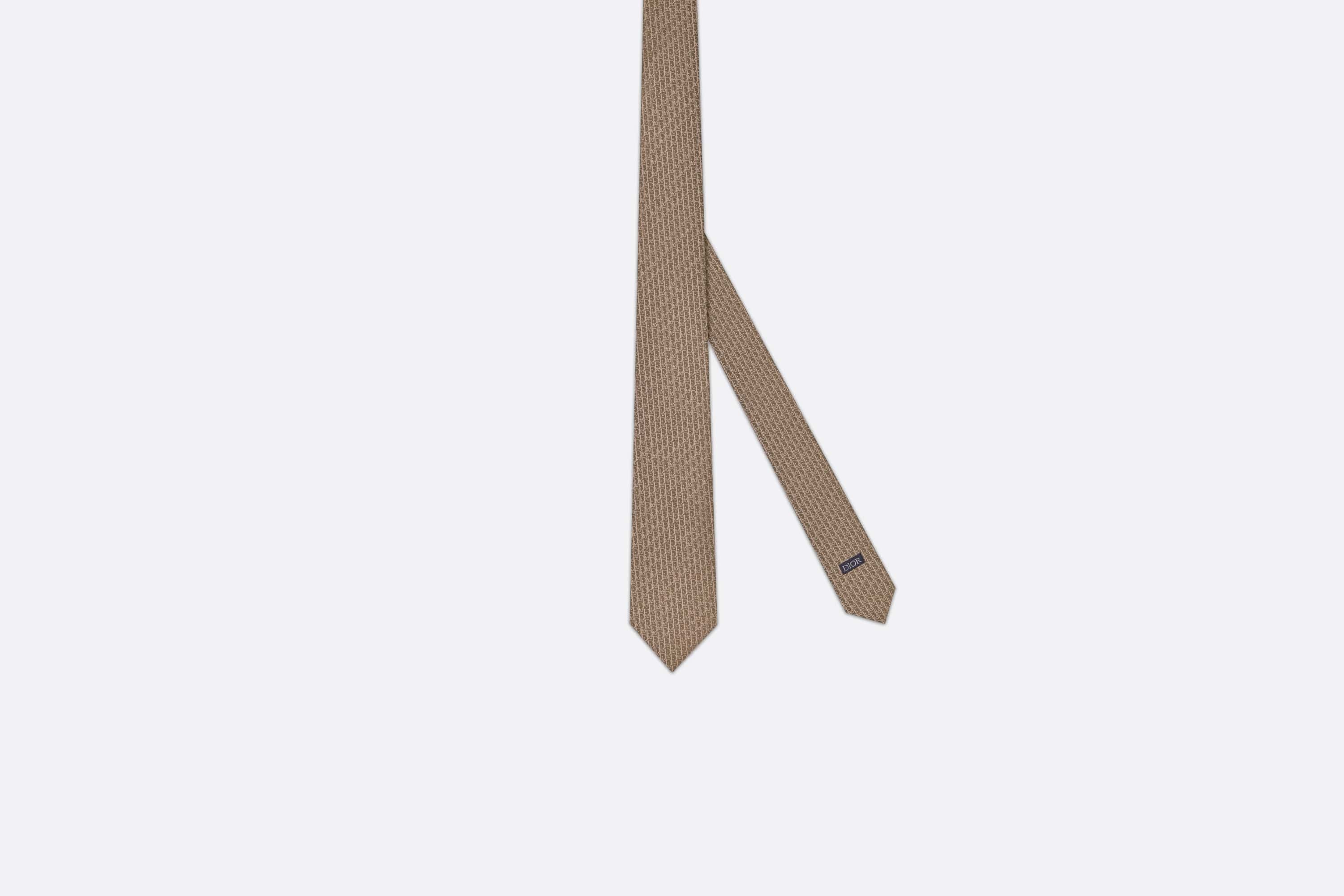 Dior Oblique Tie - 1