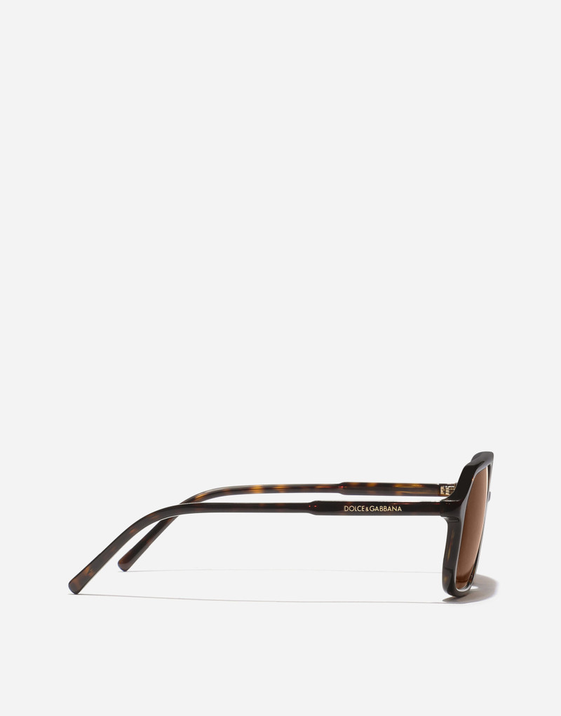 Everyday Sunglasses 3
