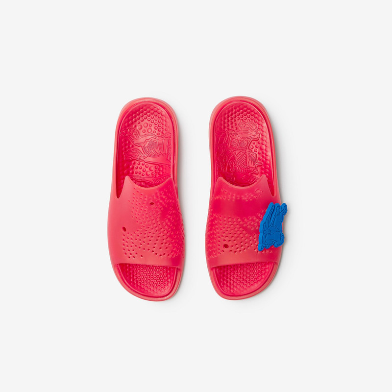 Rubber Stingray Slides 4