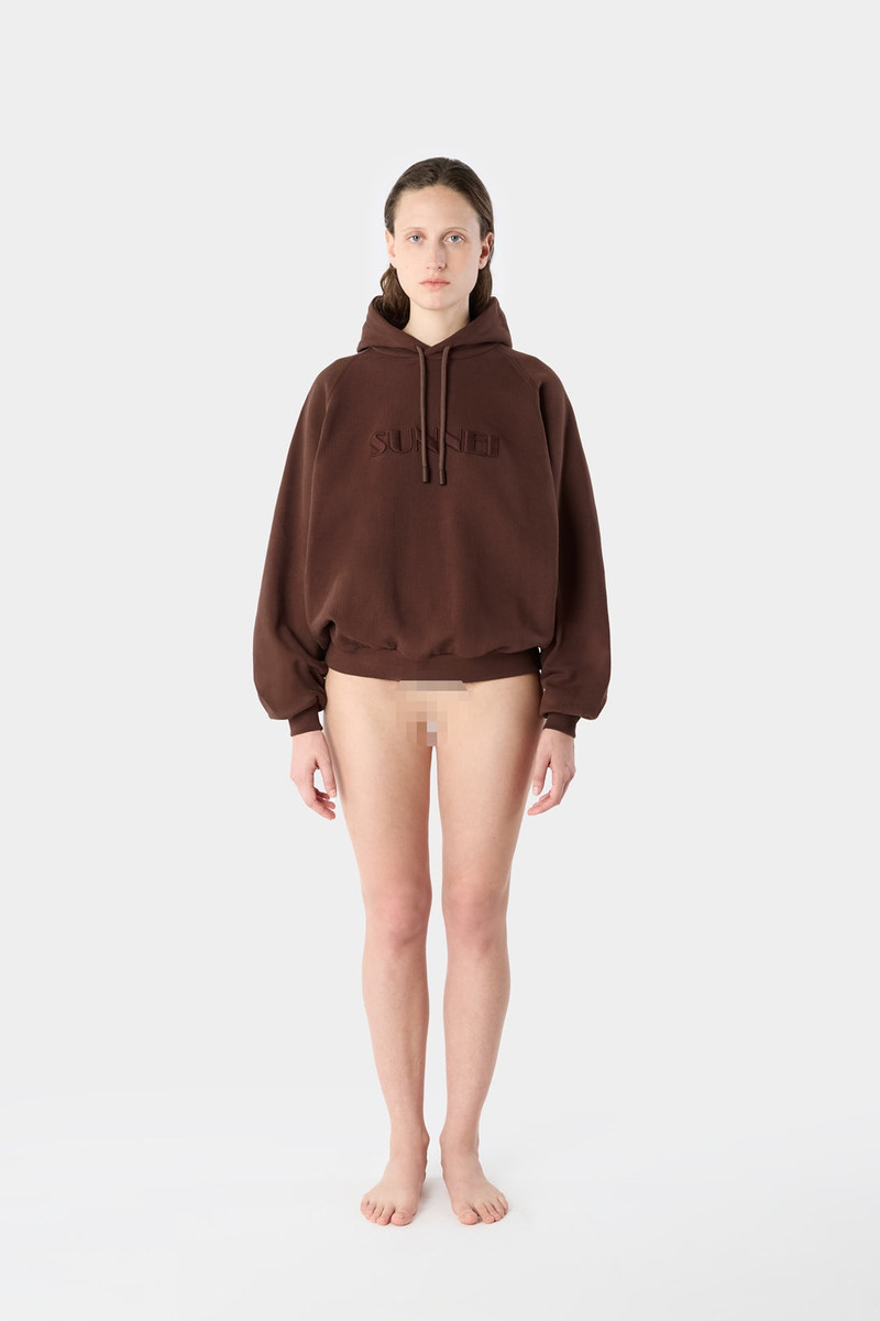 EMBROIDERED HOODIE / brown 3