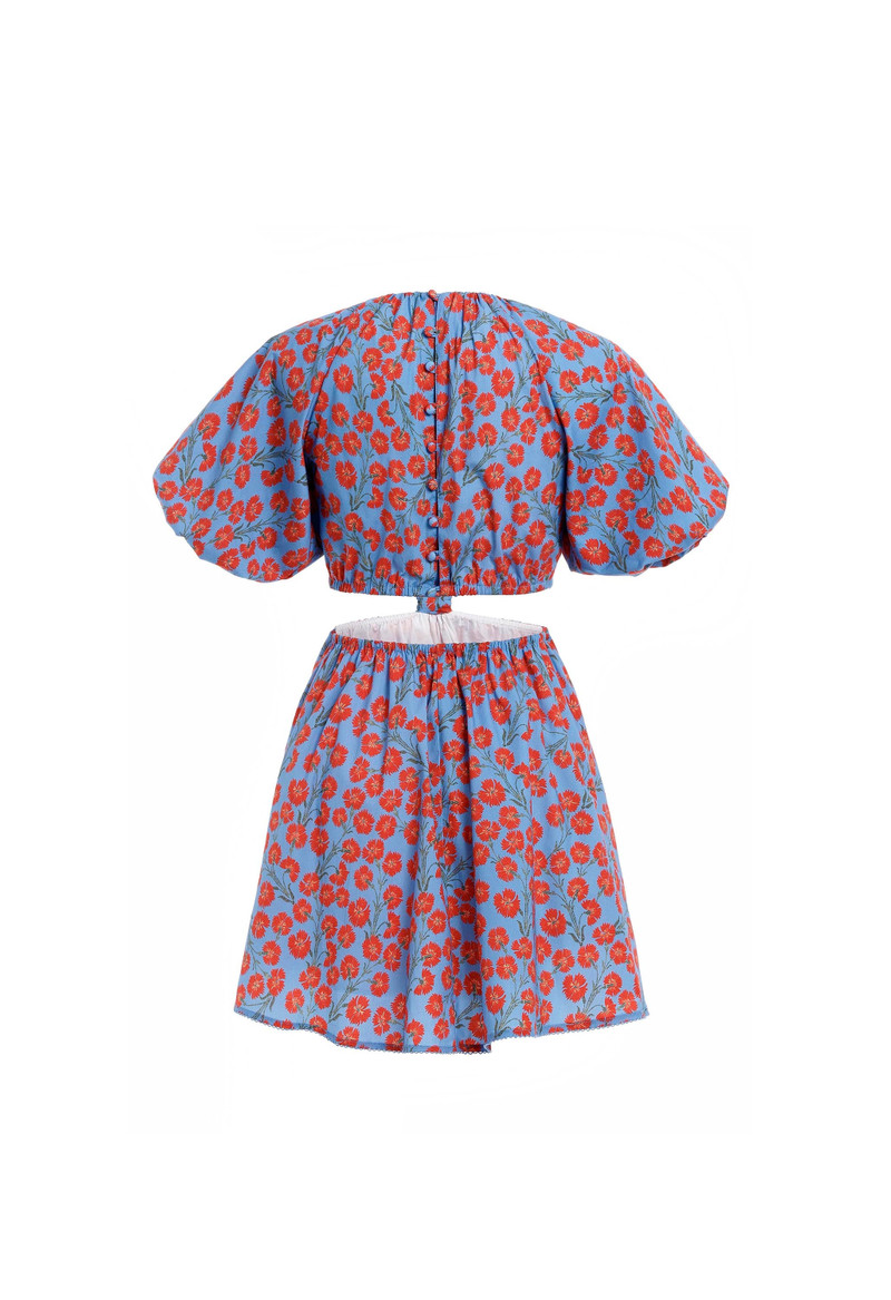 Laurel Bermelo Mini Dress 3