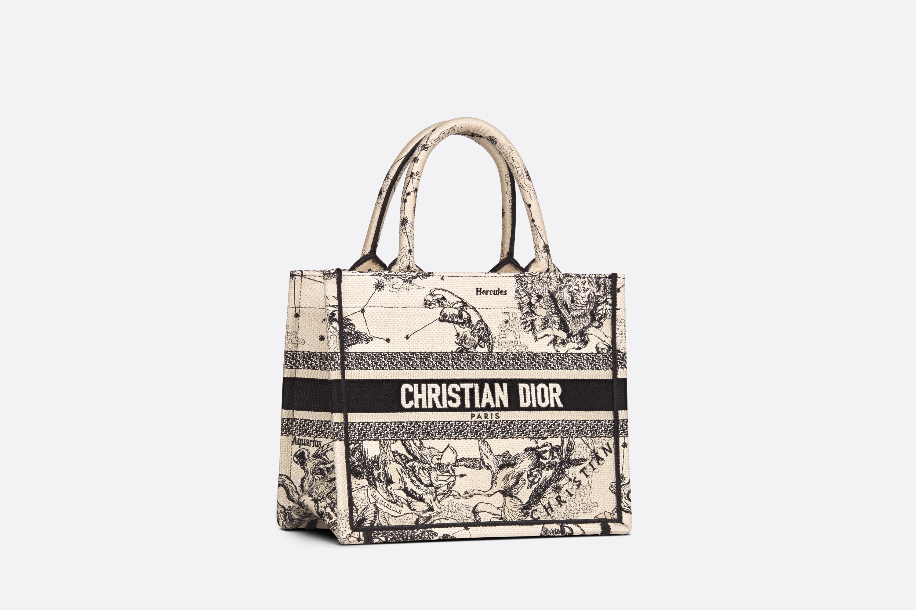 Small Dior Book Tote - 3