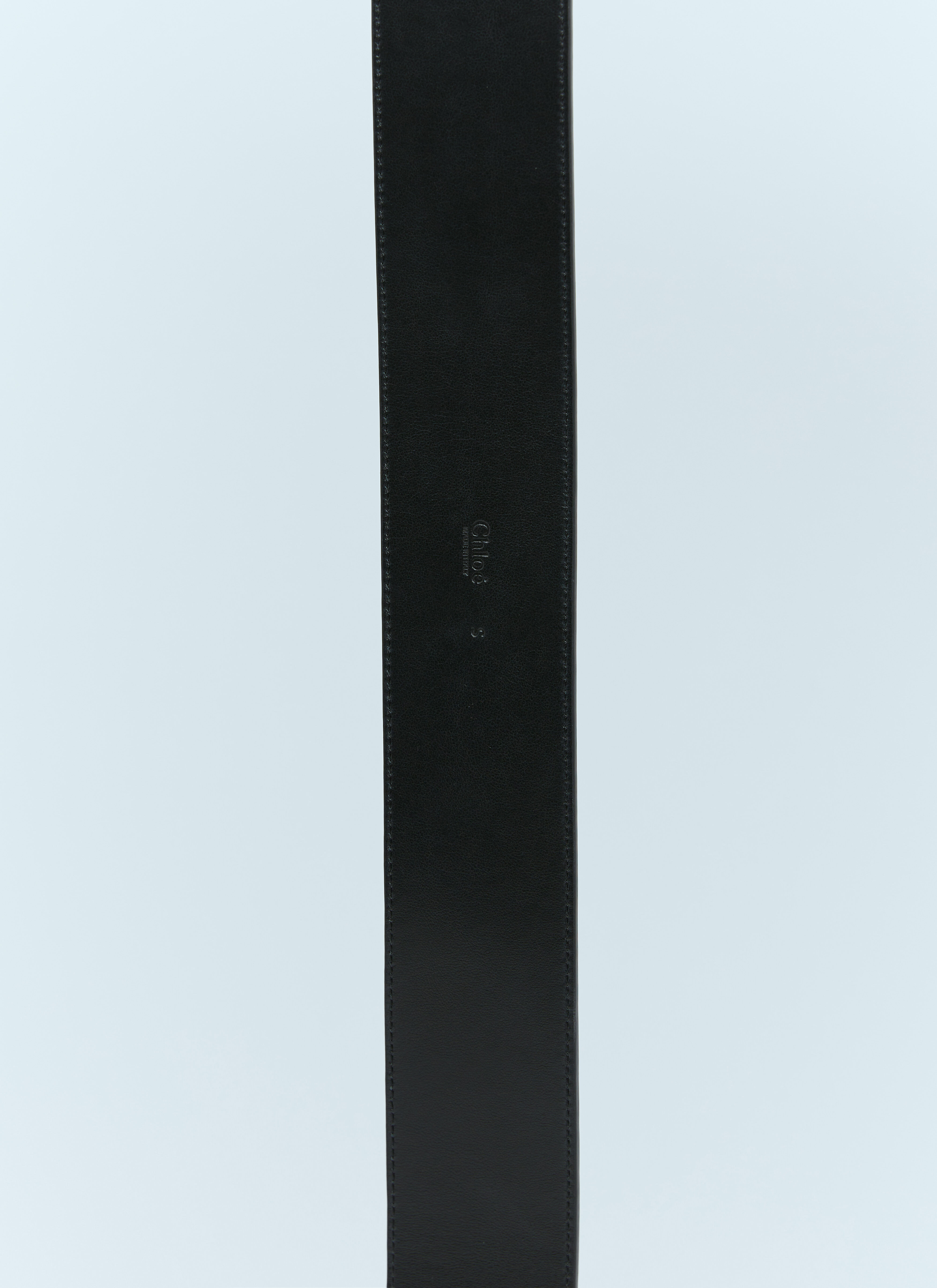 Tim Belt - 5