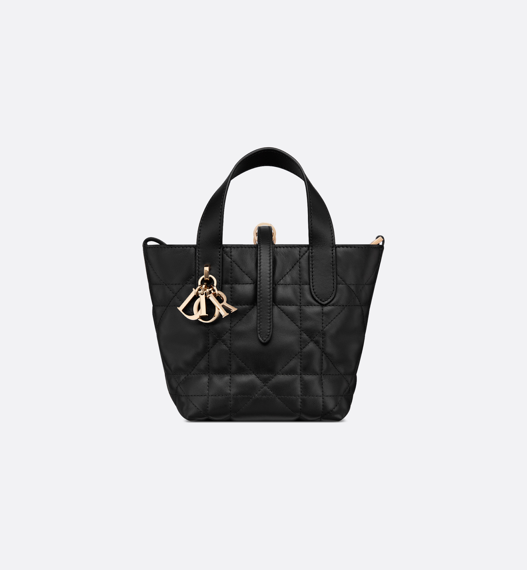 Dior Toujours Vertical Nano Tote Bag - 2