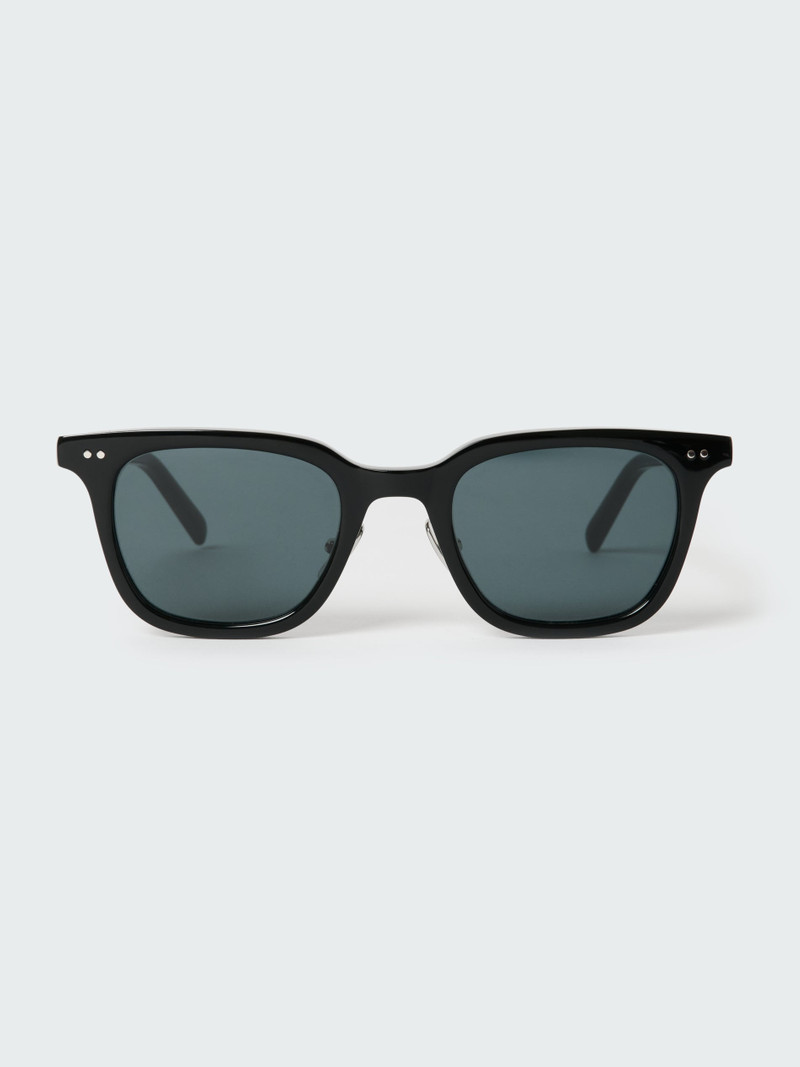 Type 1 Sunglasses 1