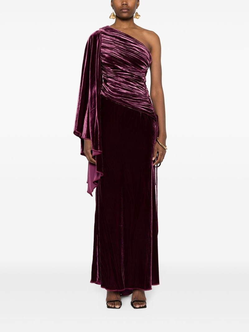 MARIA LUCIA HOHAN Yolanda velvet maxi dress outlook