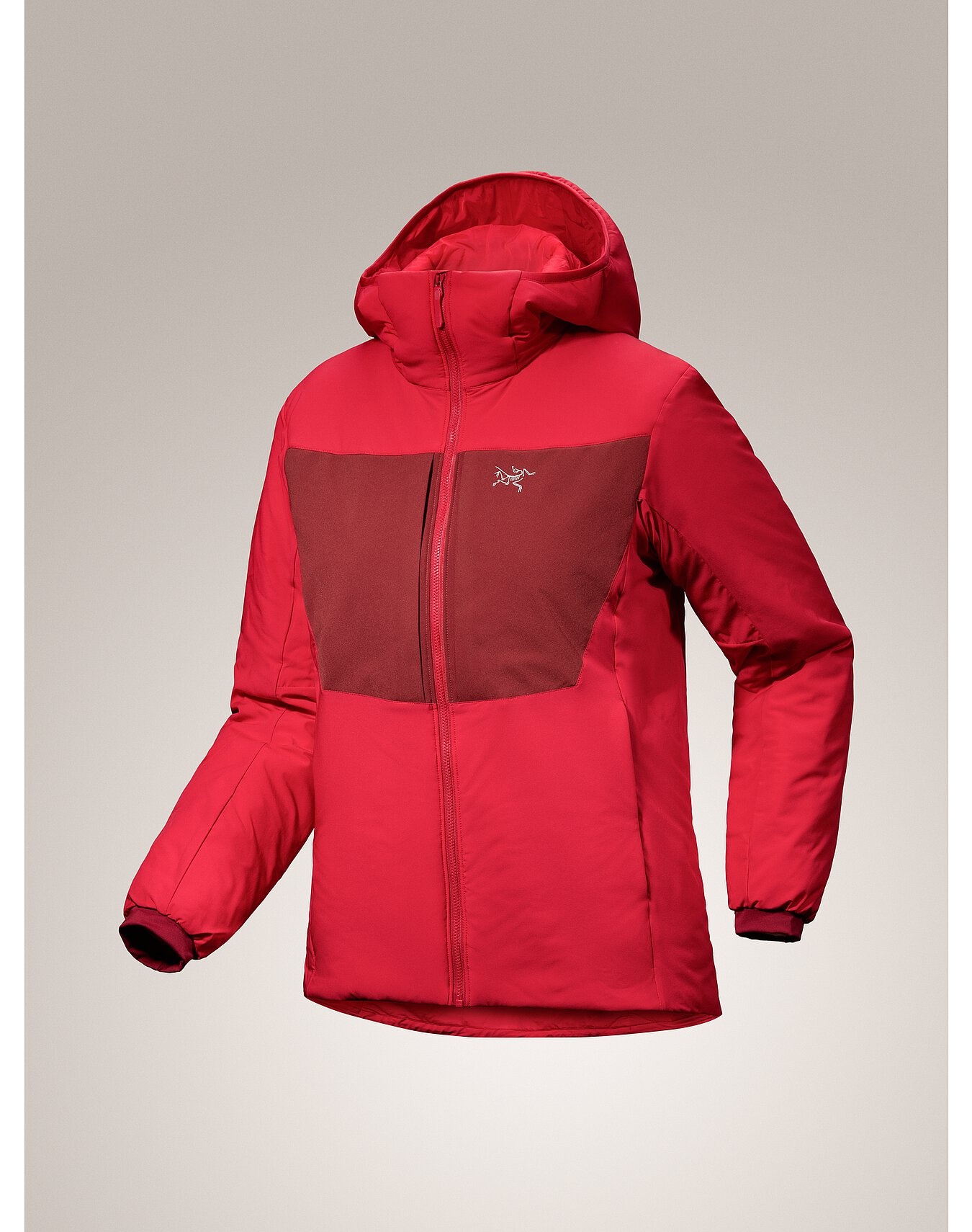 Proton Heavyweight Hoody - 8