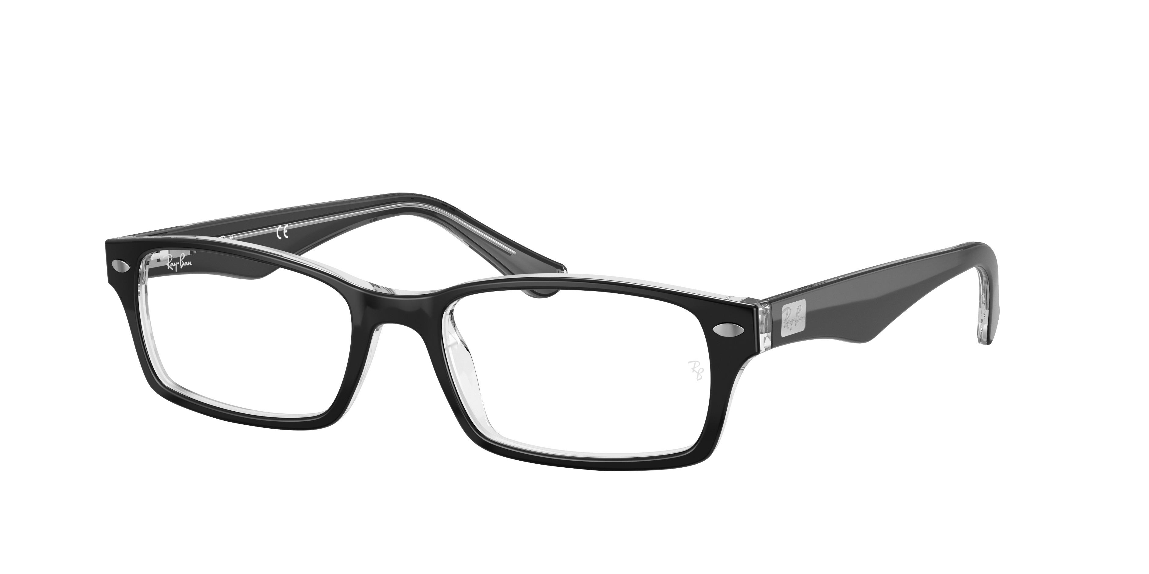 RB5206 OPTICS - 3