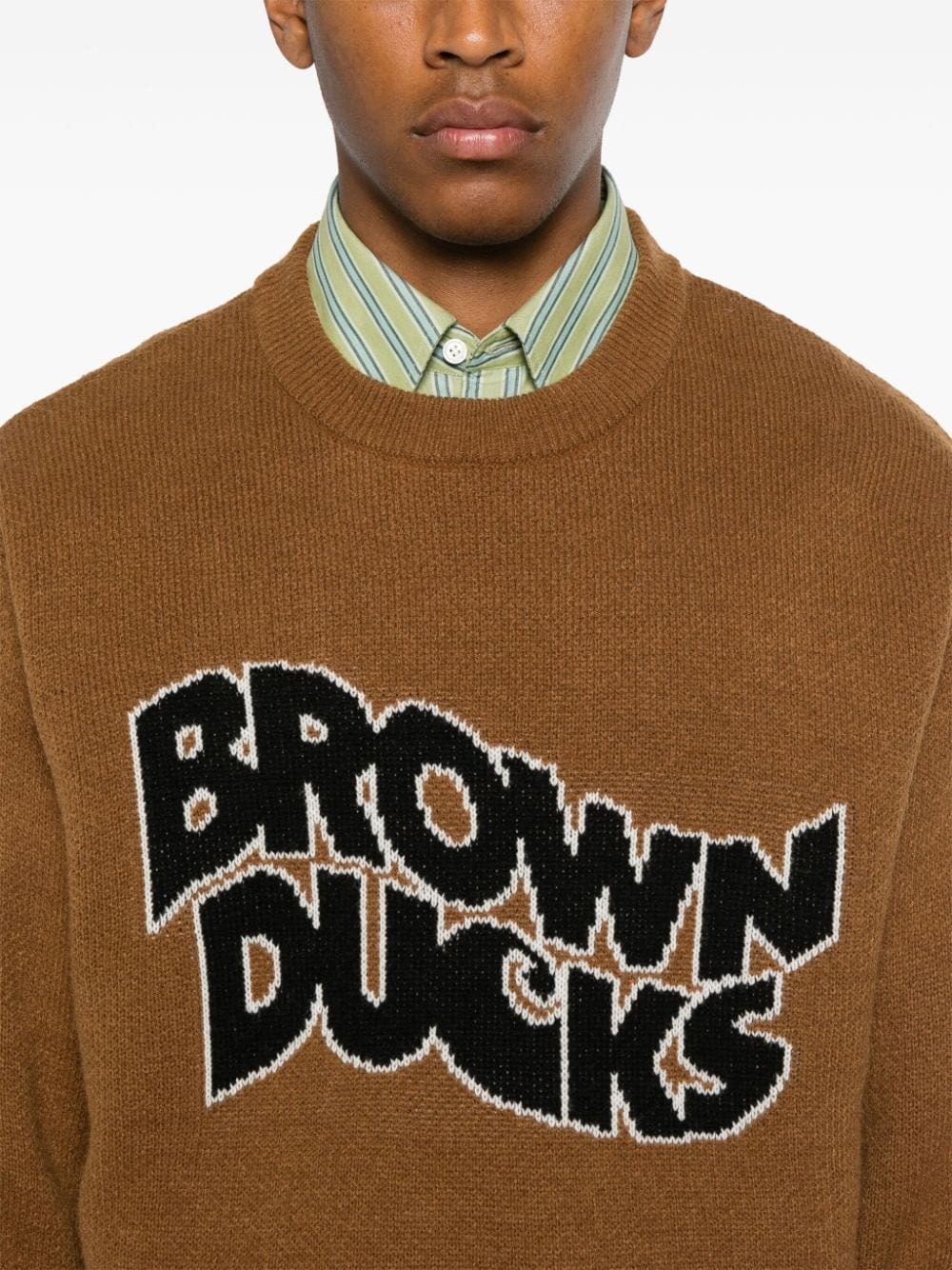 Brown Ducks sweater - 5