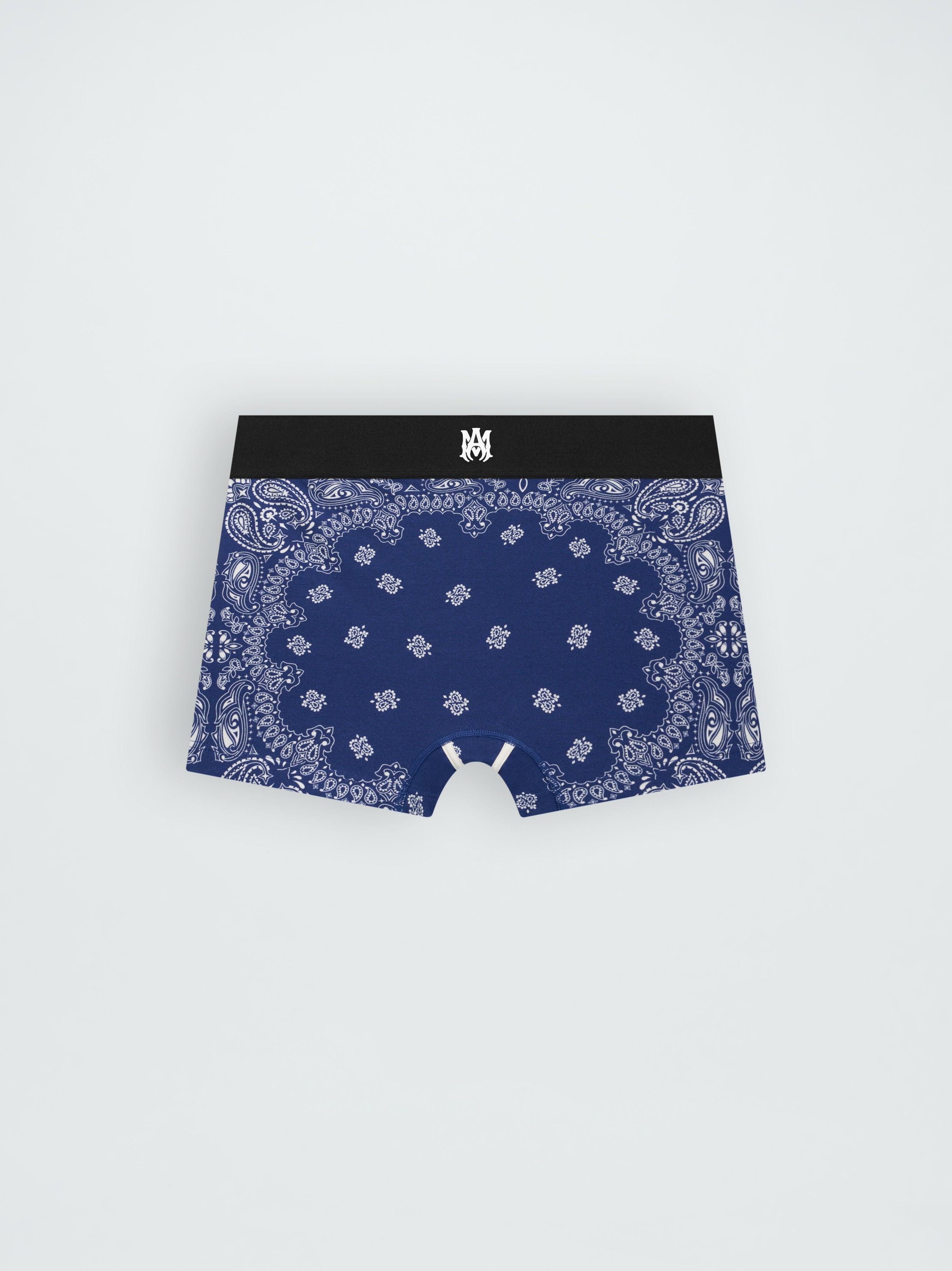 BANDANA BRIEFS - 2