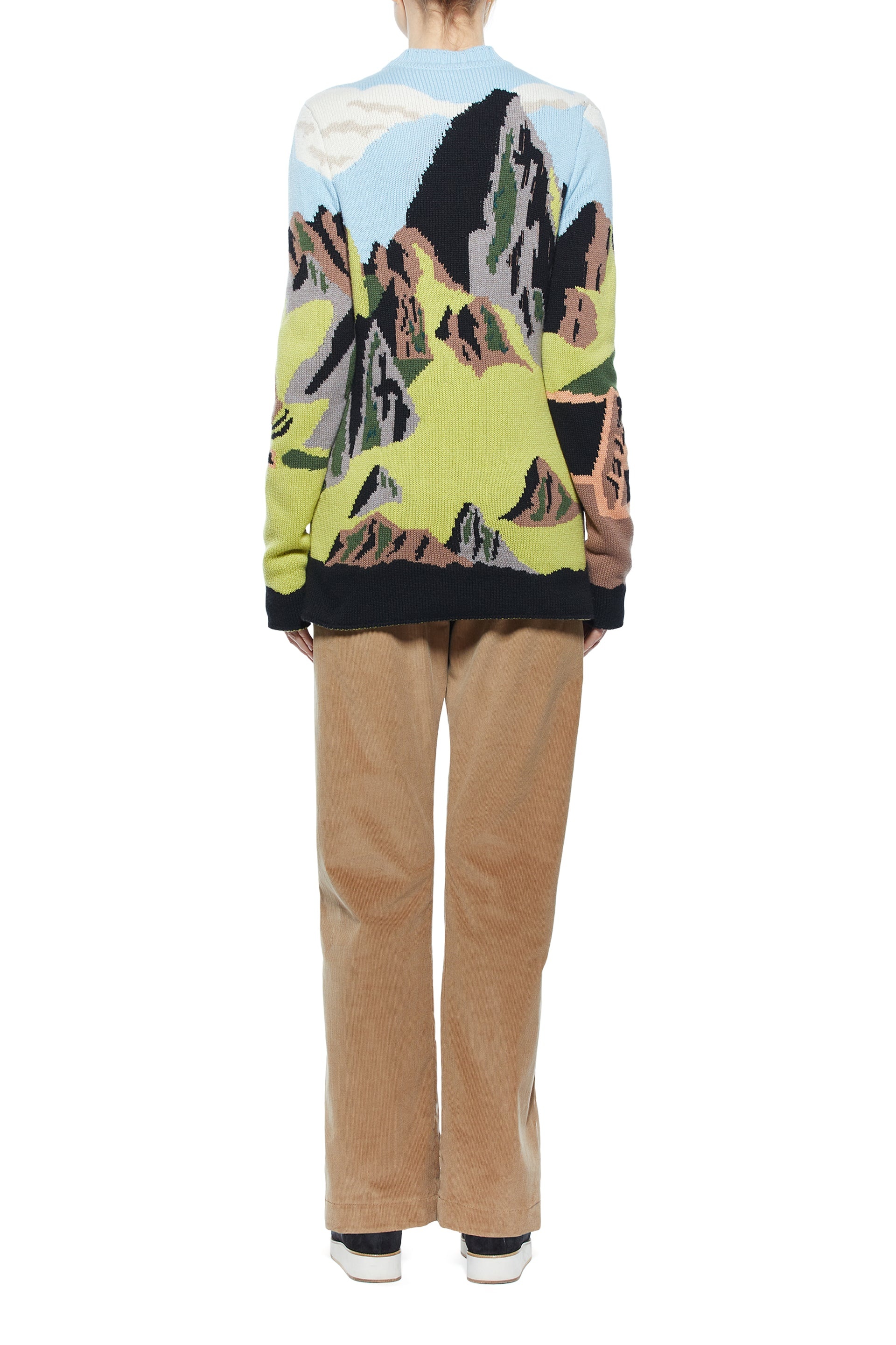 Ines Crew Neck Sweater in Aran Cashmere - 5